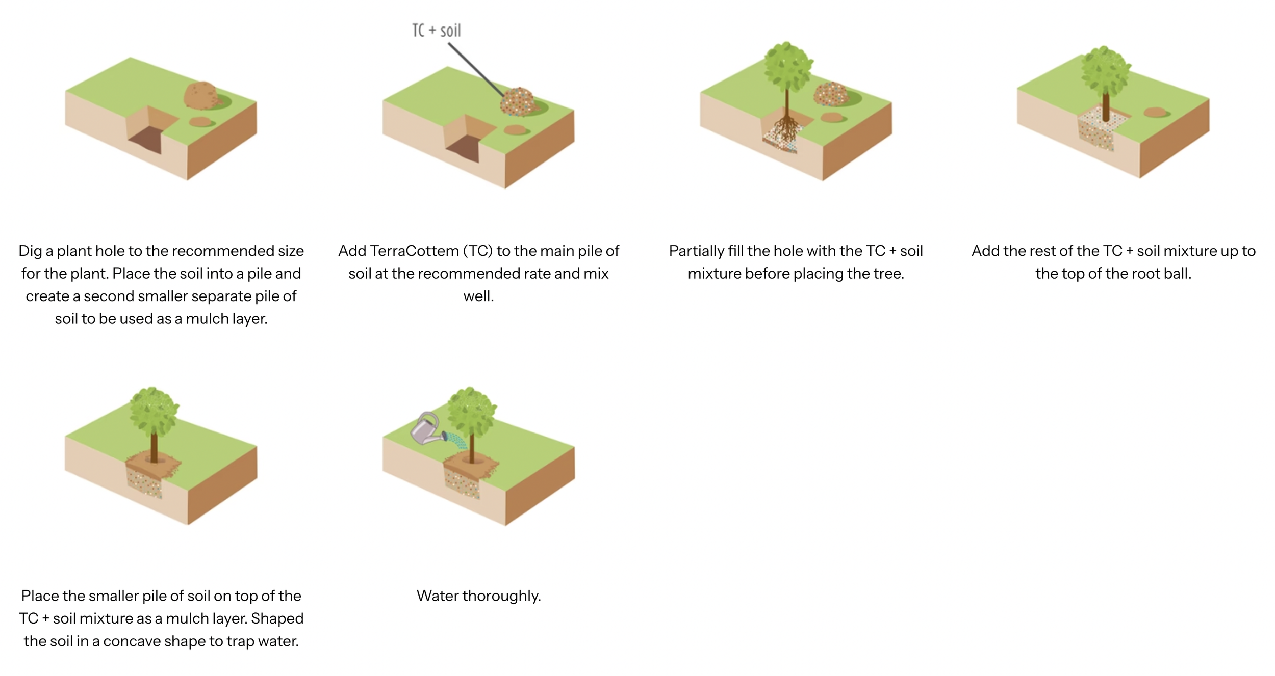 A step-by-step diagram showing how to plant a tree using TerraCottem fertilizer. It includes digging a hole, adding TerraCottem to soil, filling the hole with soil and fertilizer mixture, placing the tree in the hole, and watering thoroughly.