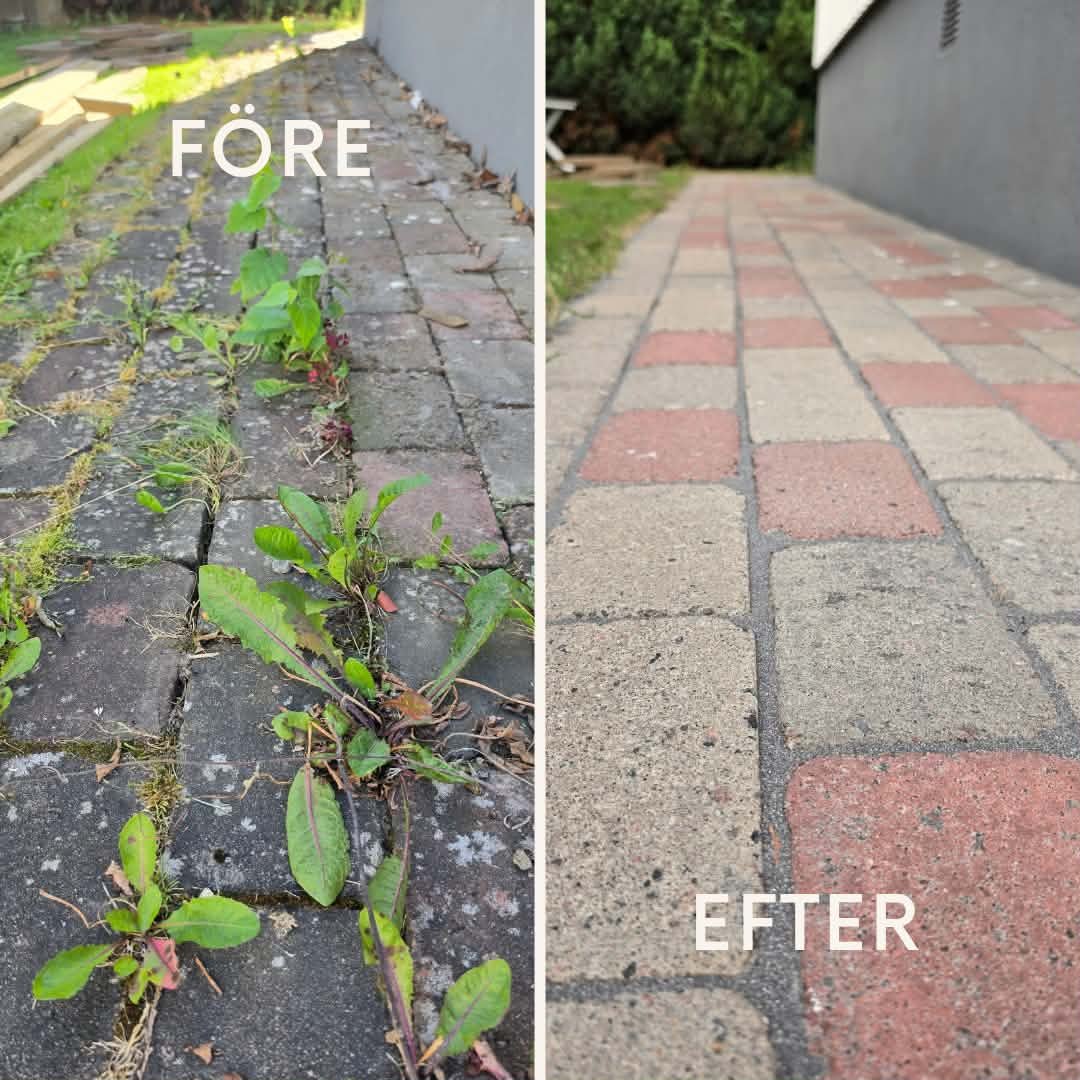 Från ogräs och påväxt till rent med ny fogsand betongplattor