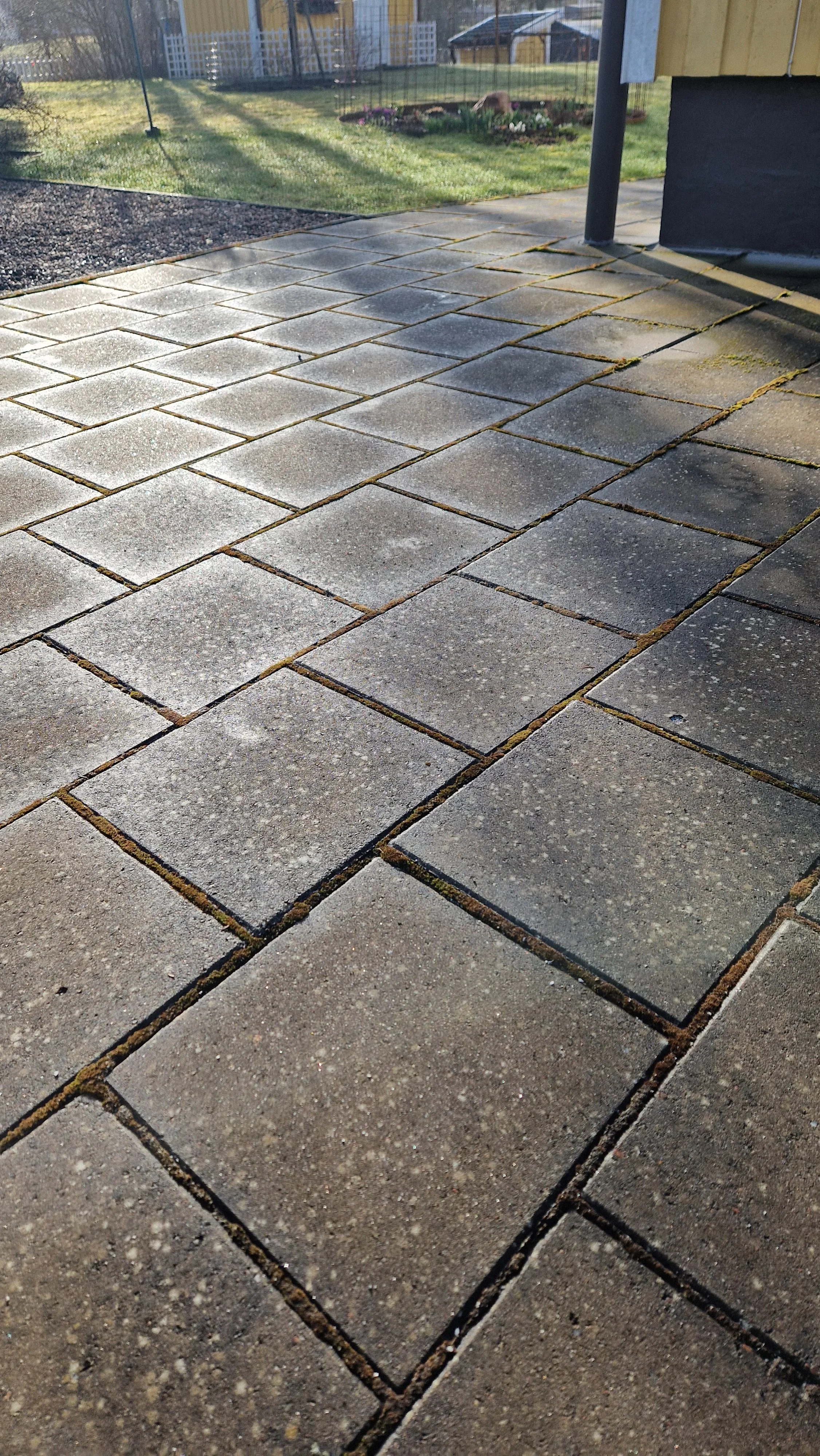 stenpest och mossa markplattor stenplattor