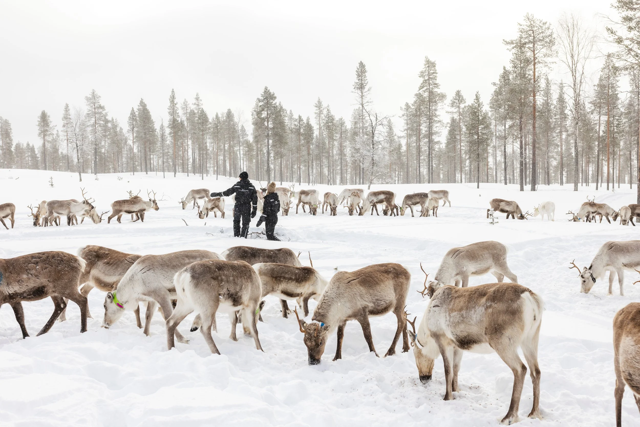 Arctic Luxury package 2.jpg