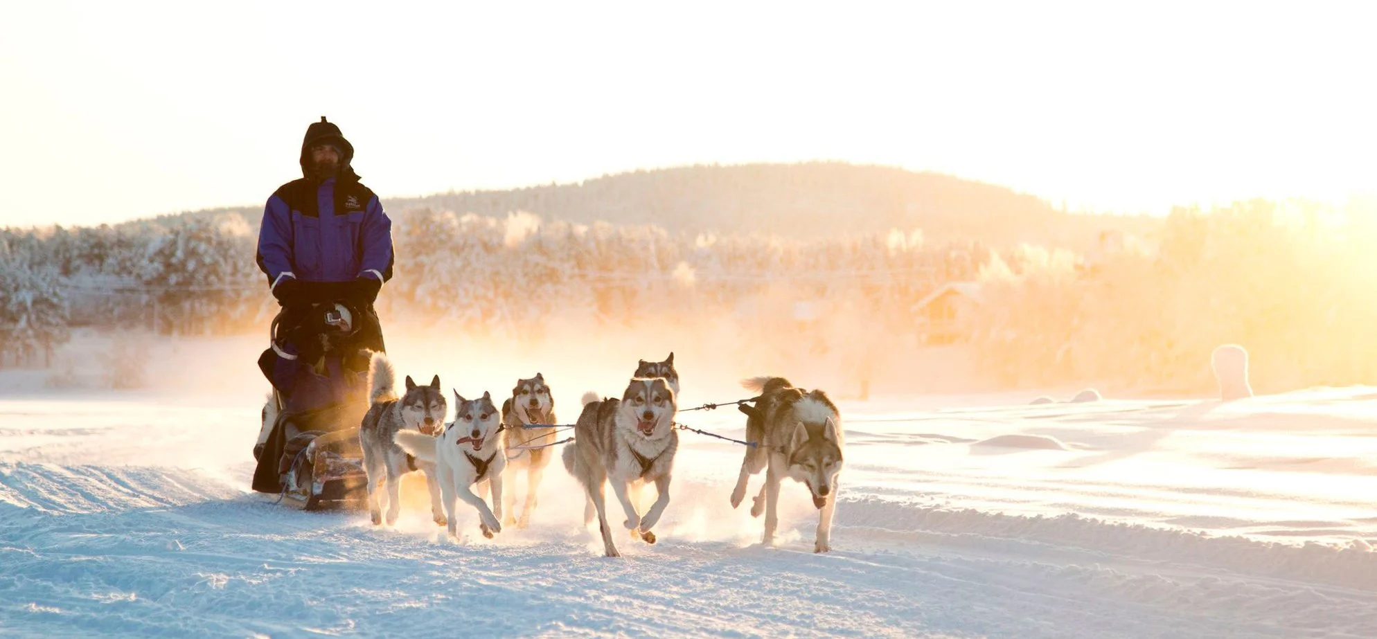 NLV Winterhusky-4.jpg