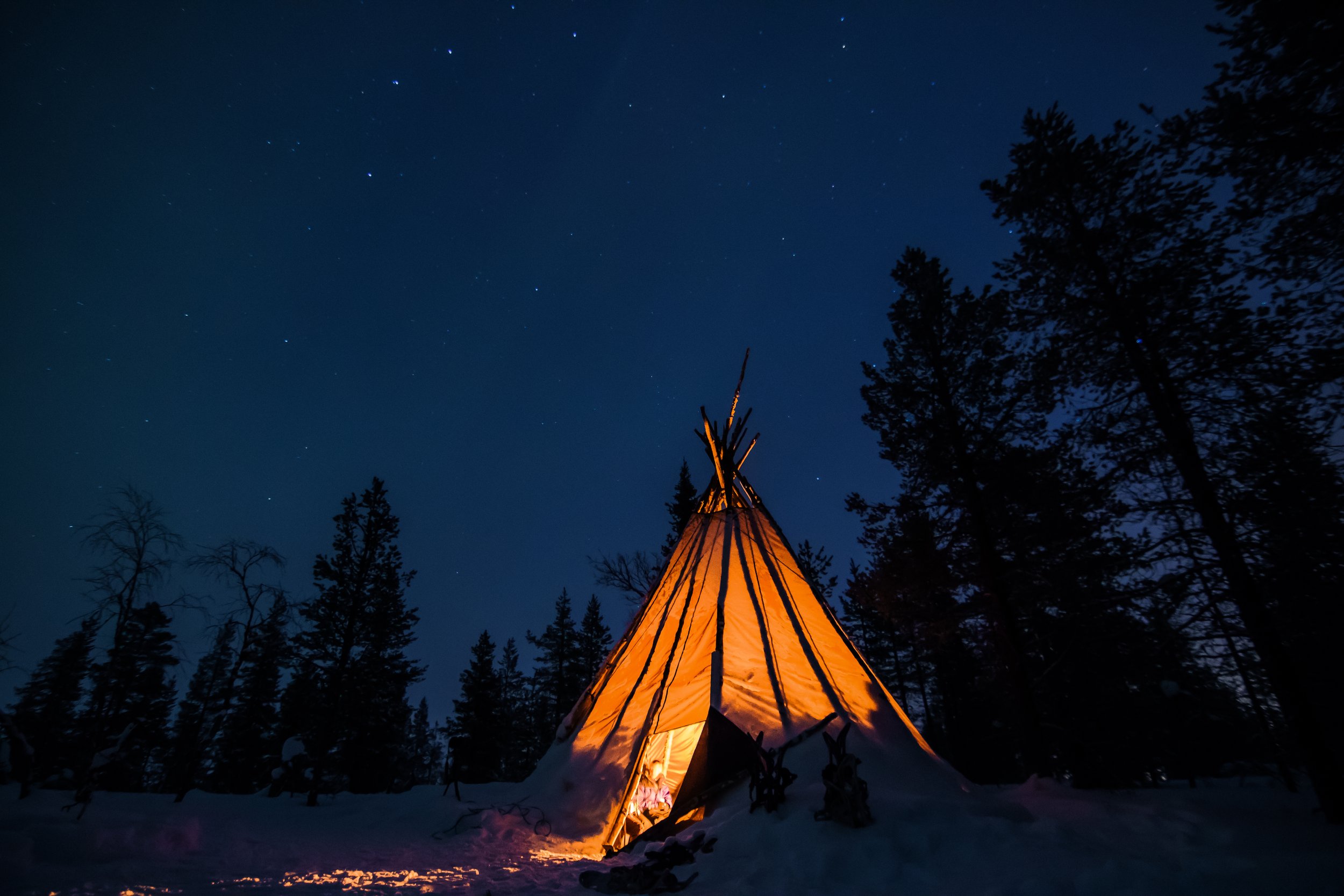 NLV snowshoe-5.jpg