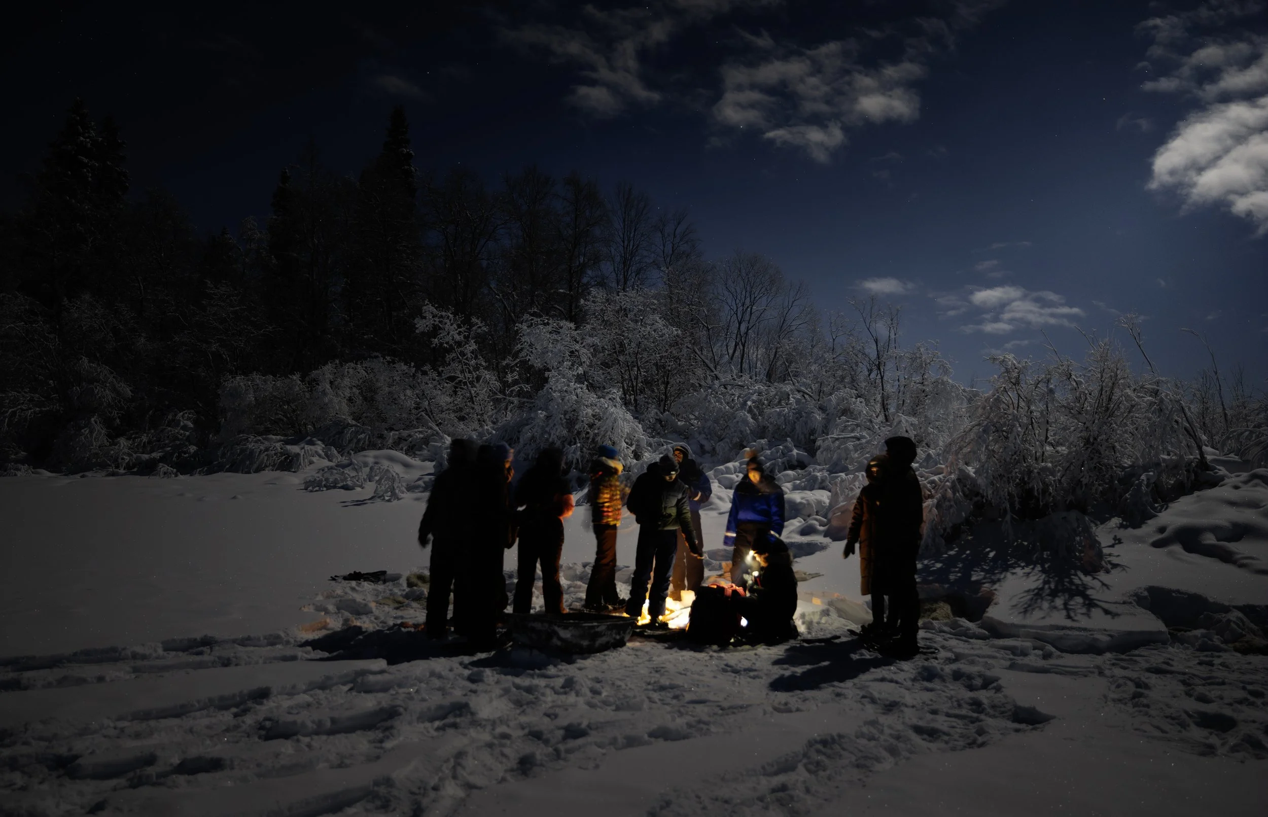 Snowshoe 6.jpg