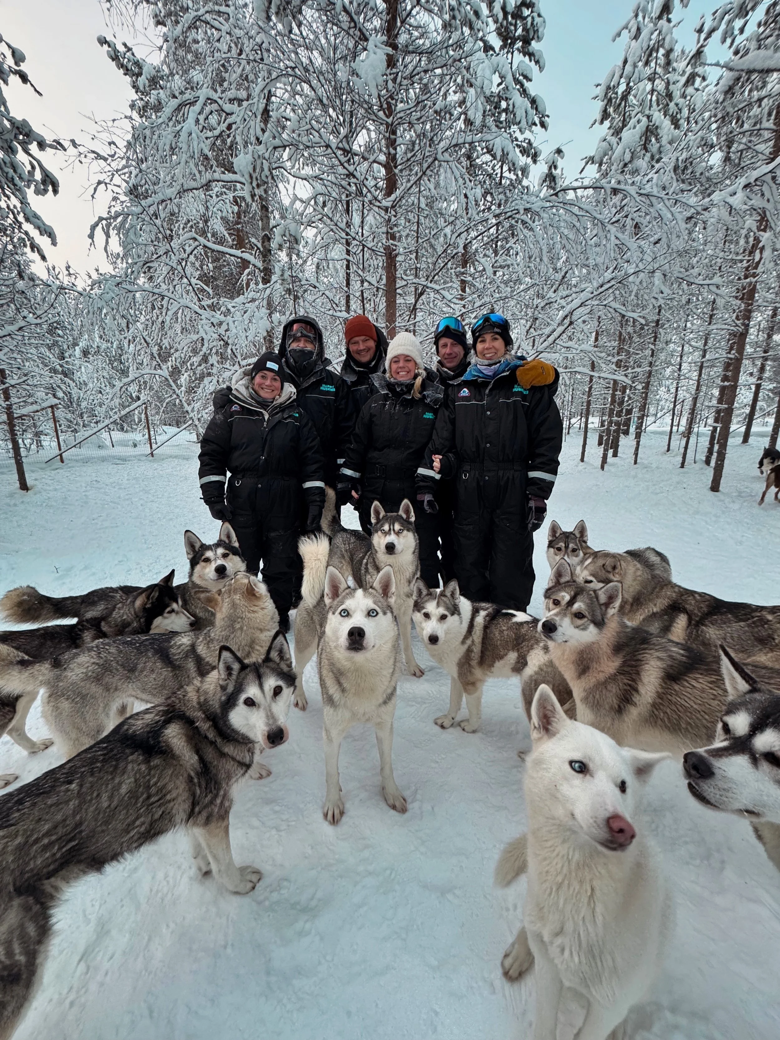 A group of five smiling people dressed in winter clothing, including jackets, hats, and some wearing goggles, standing outside in a snow-covered forest with multiple husky dogs around them.