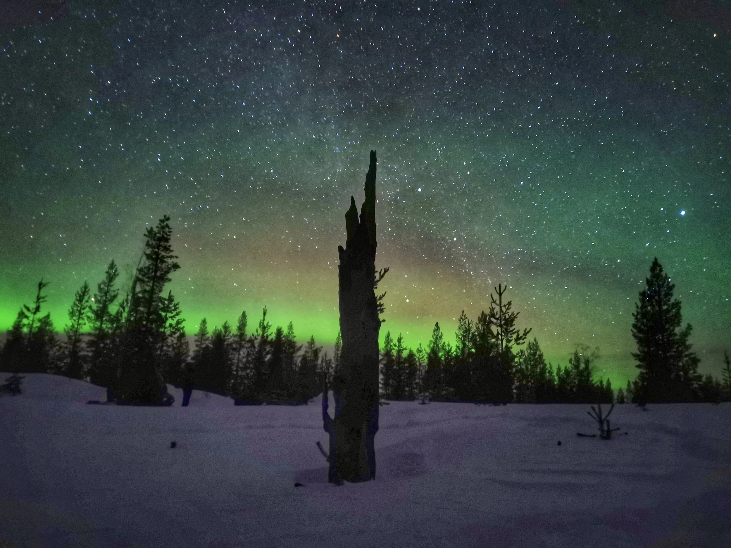 Arctic Stargazing