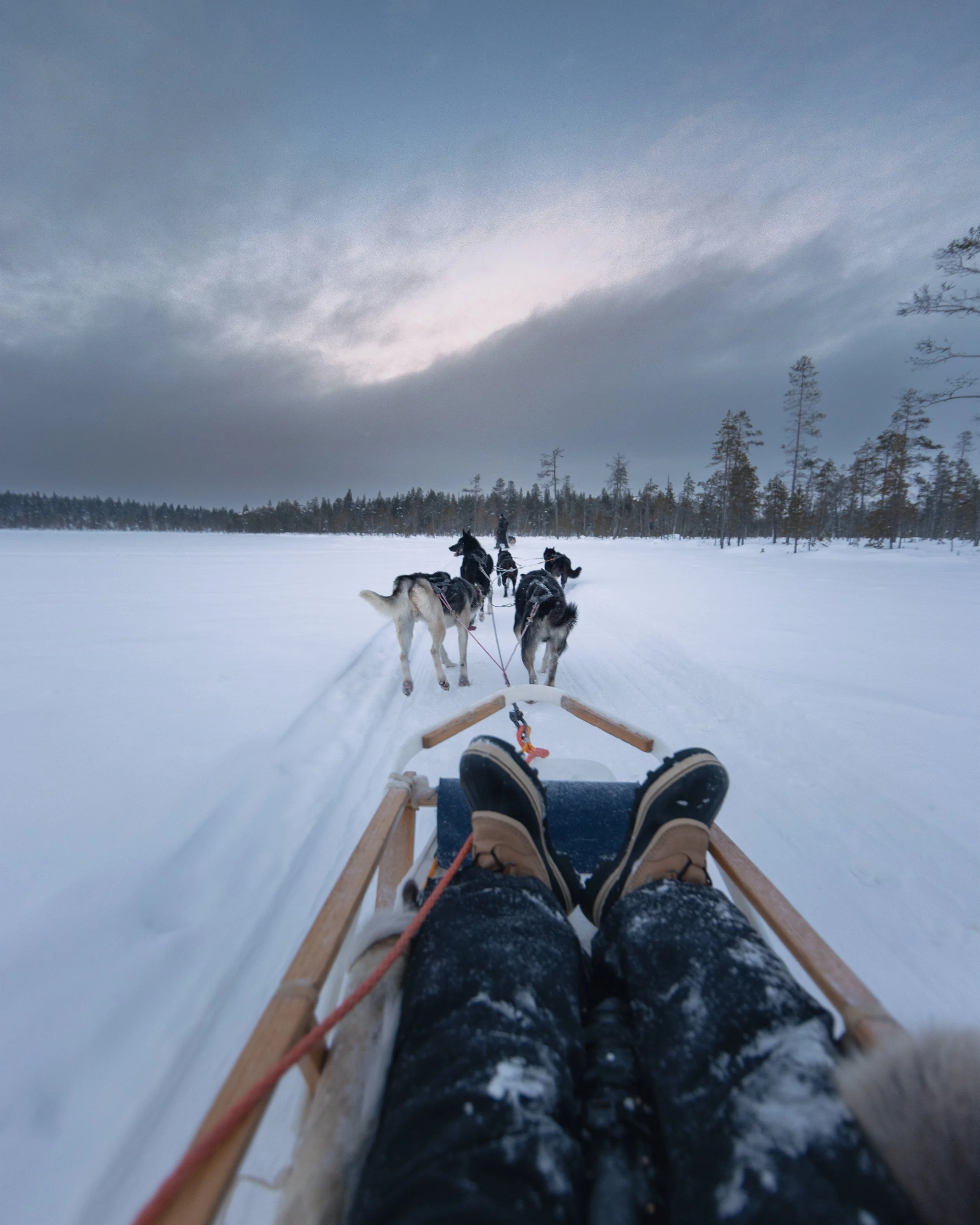 Husky Safari 5.jpg