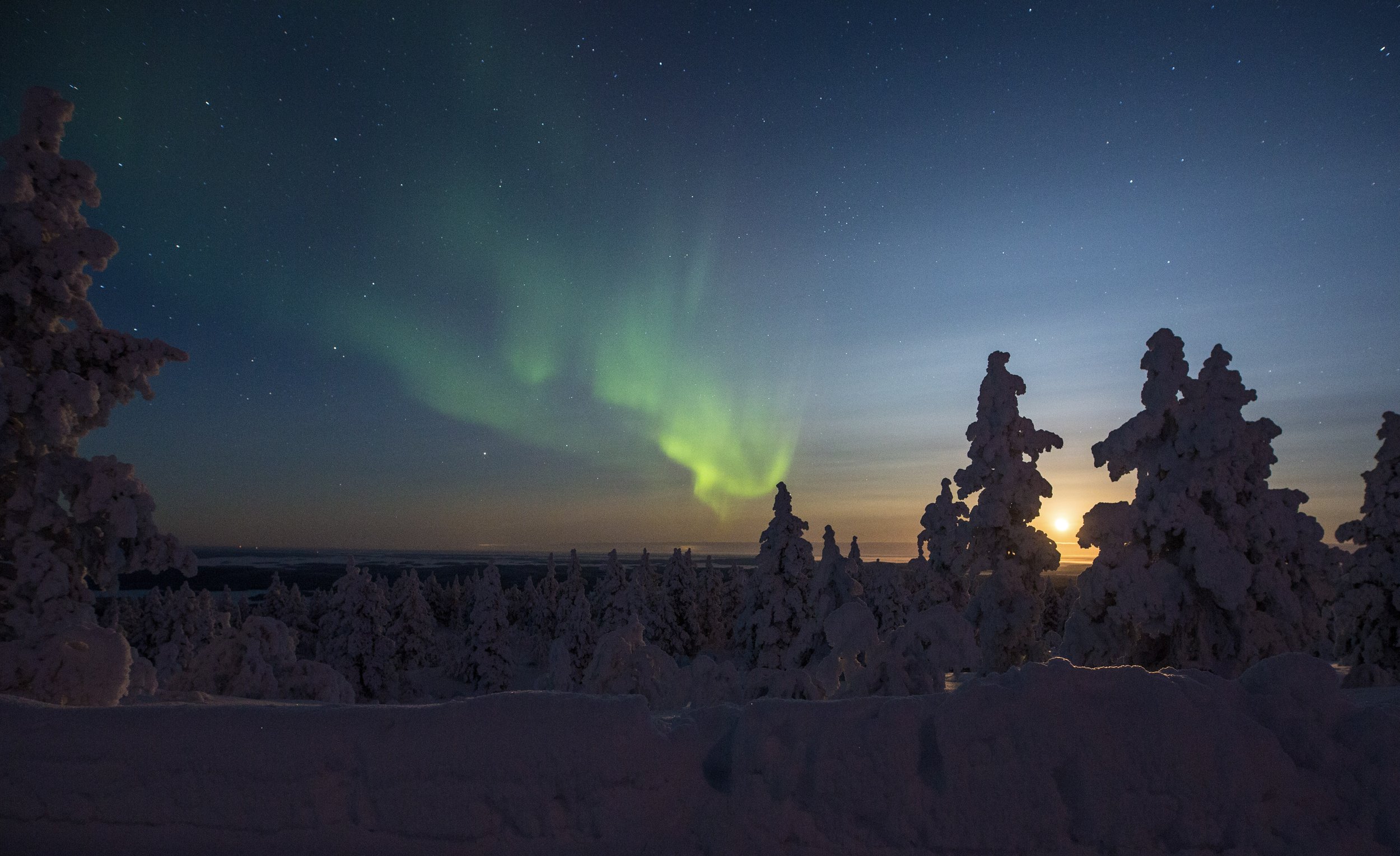 aurora-tour_39219985215_o.jpg