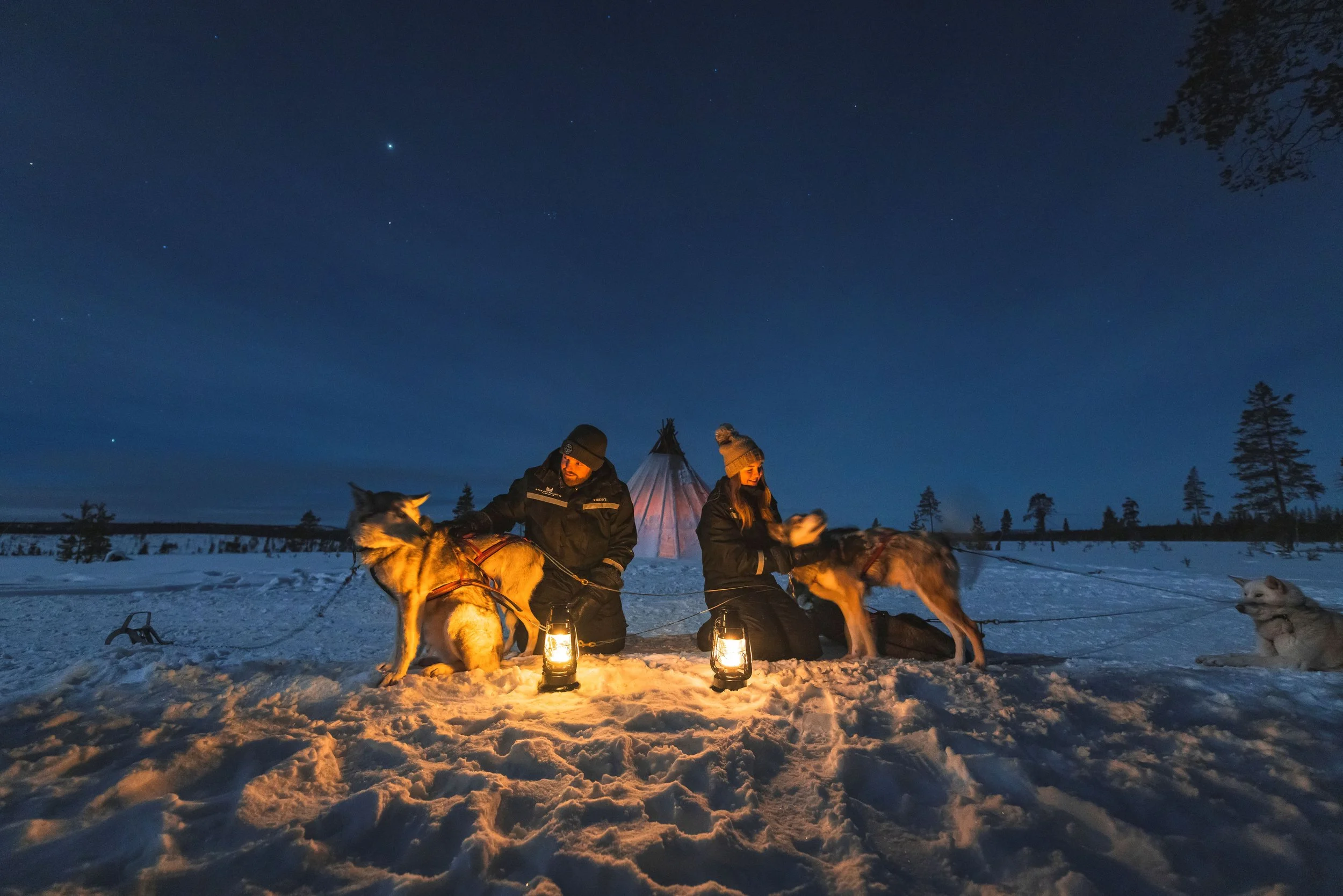 Aurora Hunting by Huskies