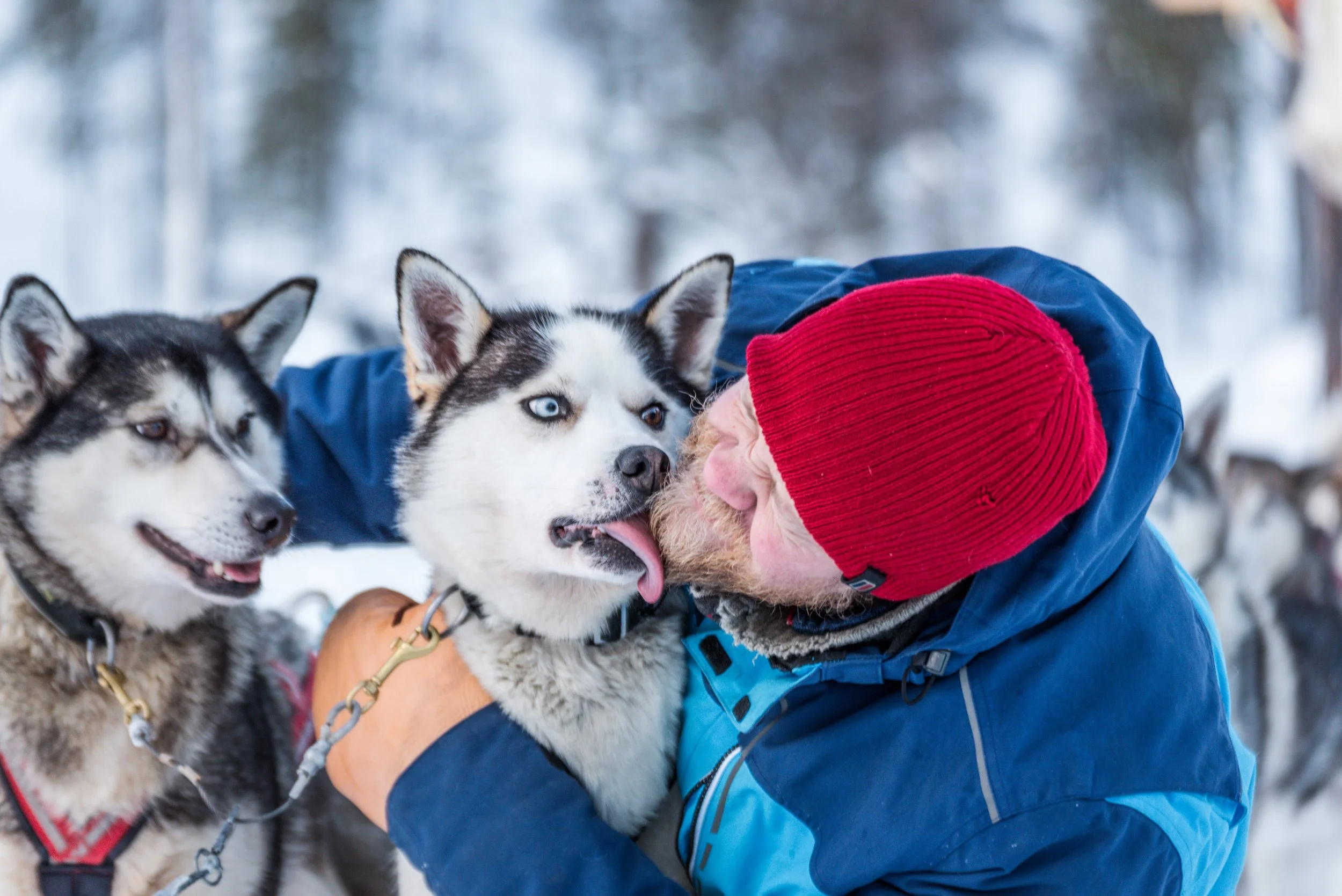 Husky Act (3).jpg