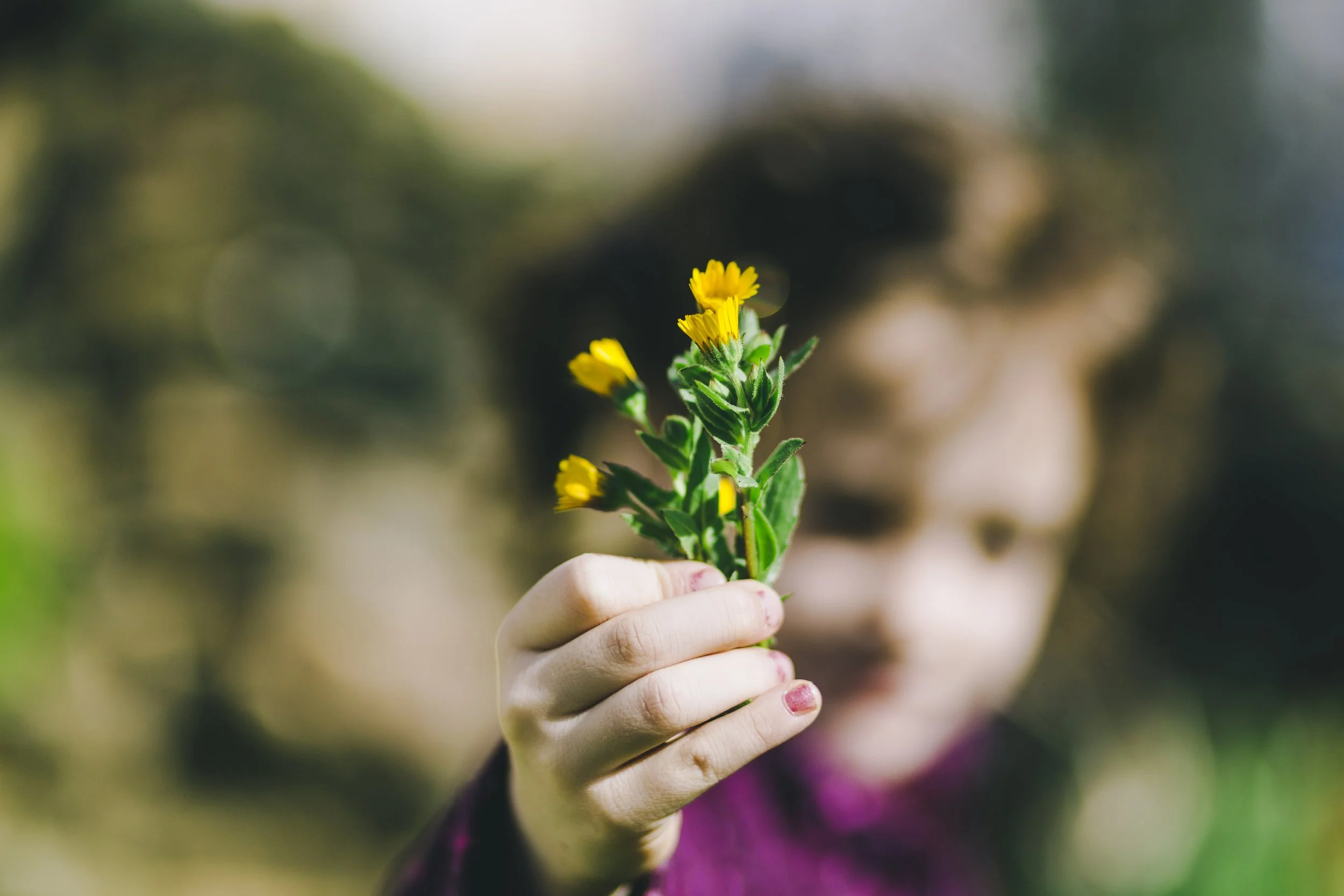 Nurture schools Project