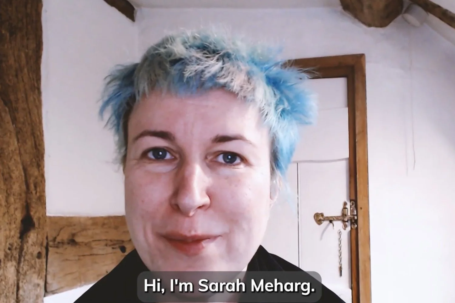 Sarah Meharg: Glimmers and Triggers