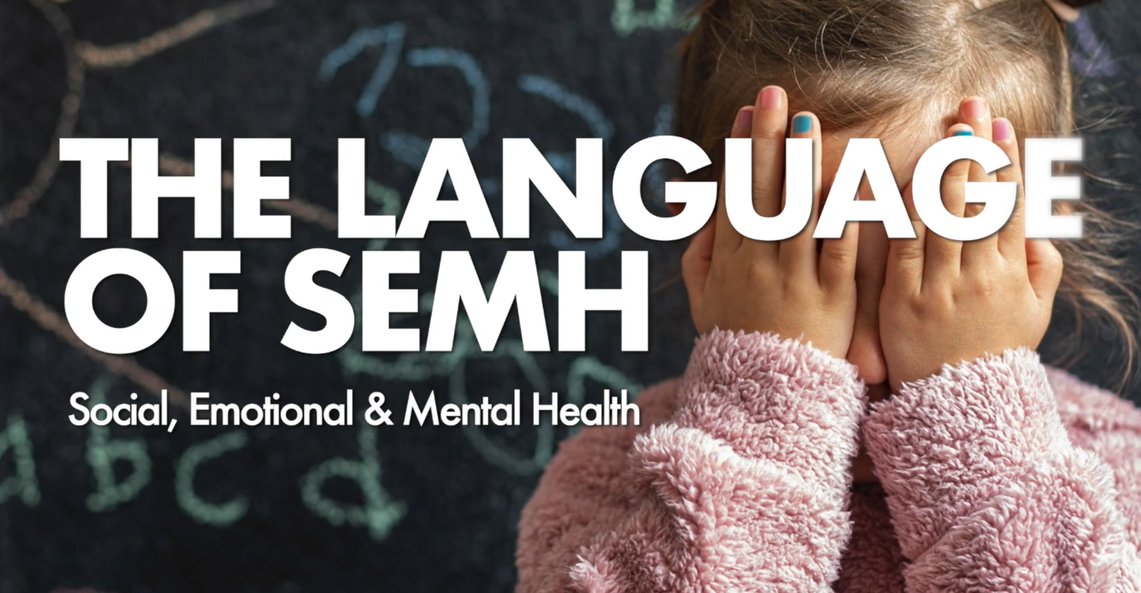Social Emotional &amp; MentaL Health needs