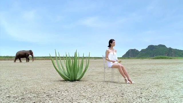 乾燥した平原の上に座っている女性と離れた場所にいる象と大きな植物。背景に青い空と遠くの山々が見える。