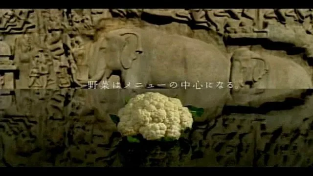 Kewpie Mayonnaise
Location: INDIA (Mahabalipuram)