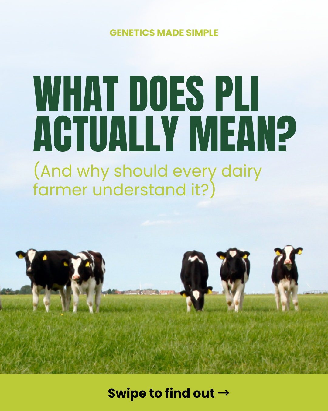 What Does PLI Actually Mean? A Simple Guide to Profitable Lifetime Index