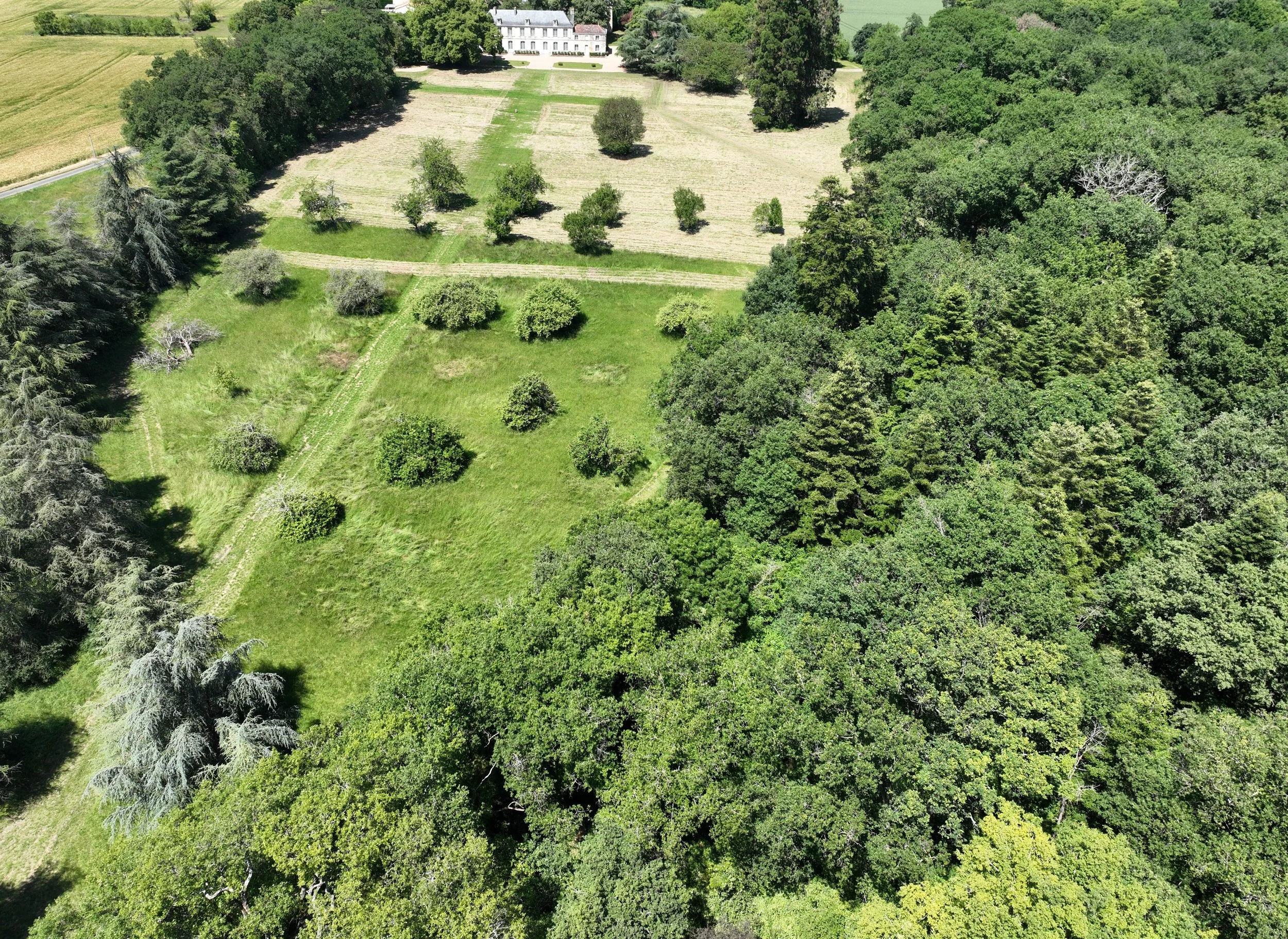 DJI_0699.JPG