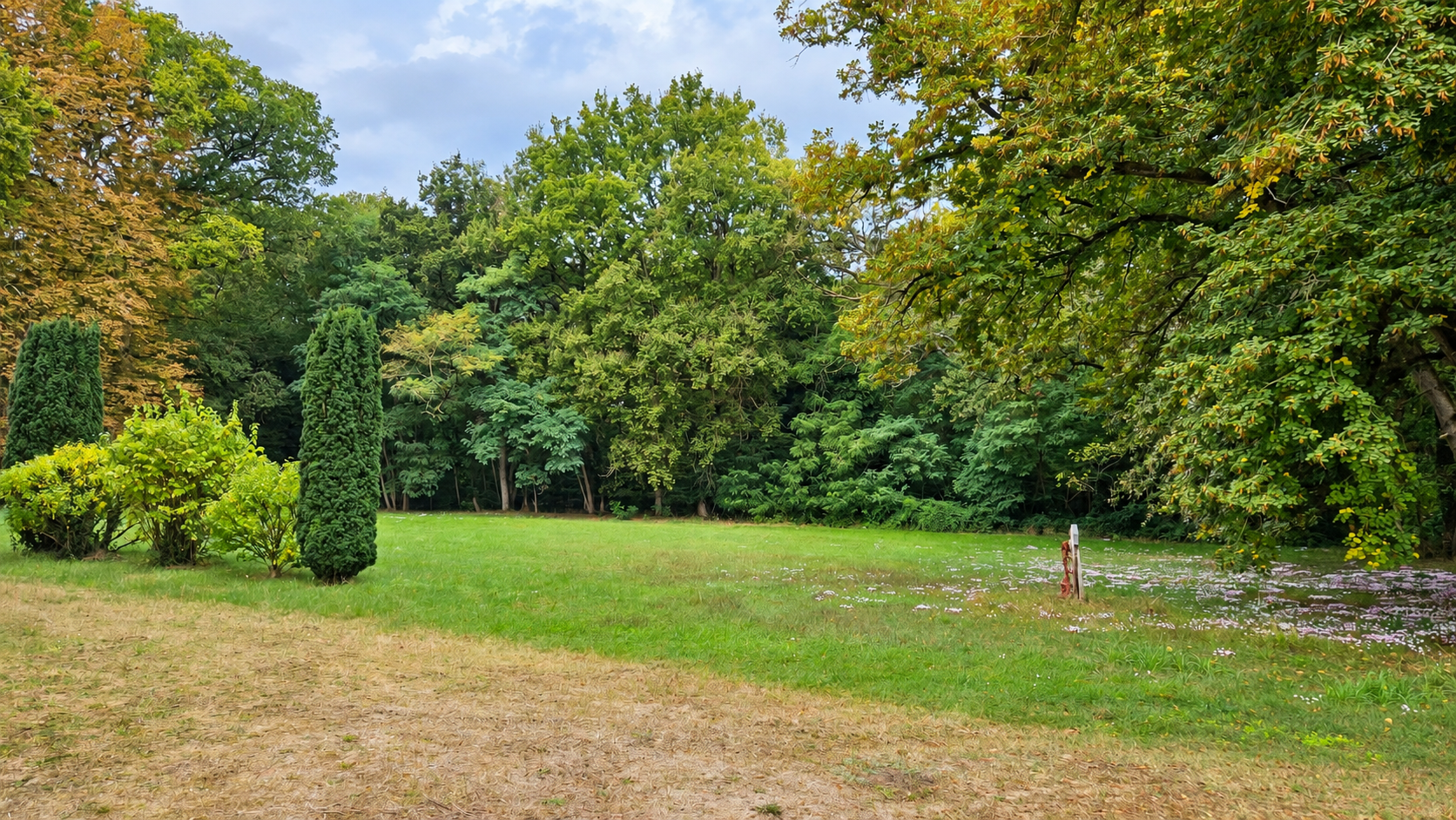 domaine-maine-et-loire-10-35-hectares-parc-boise-clairiere.png