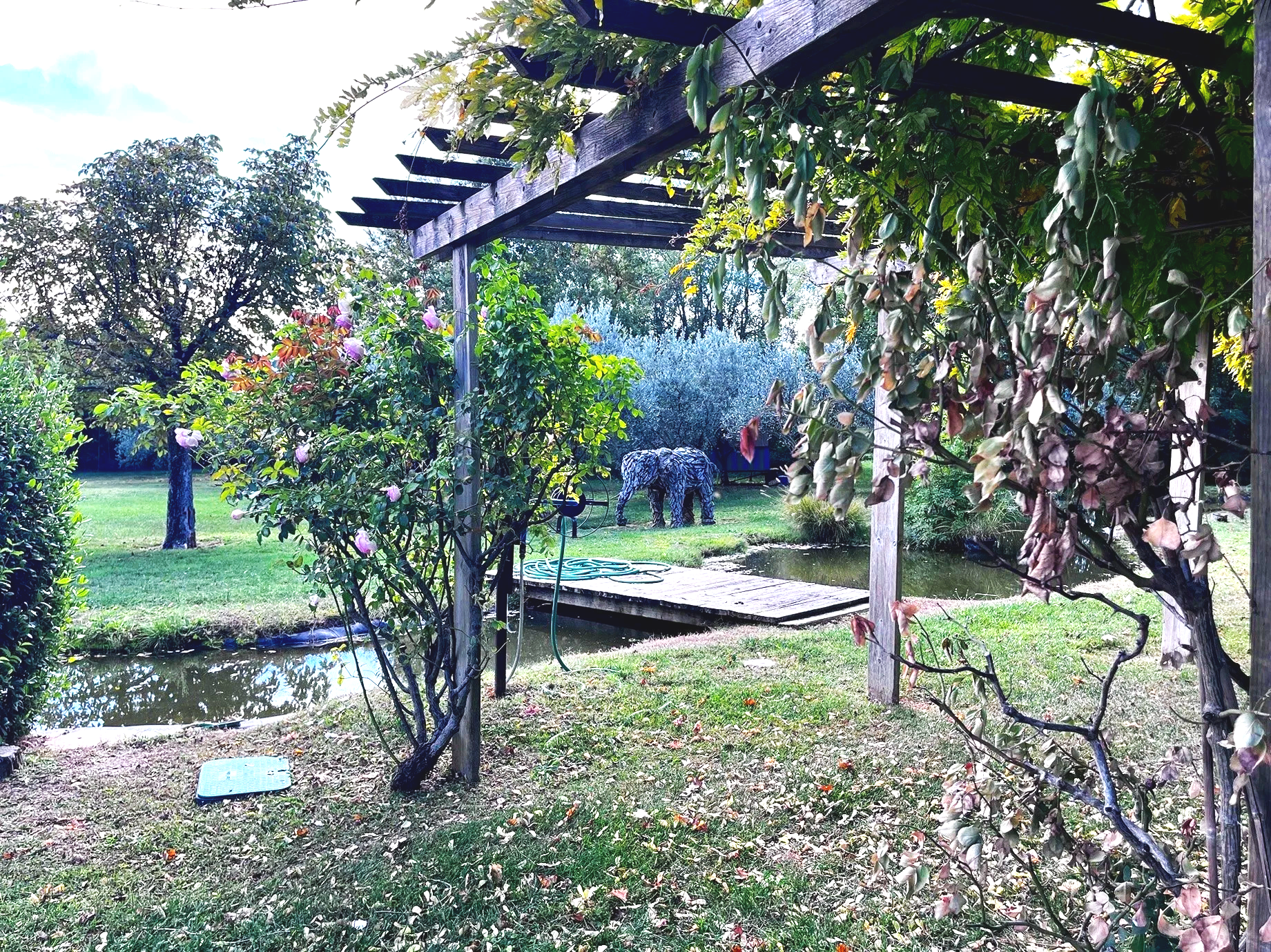 IMG_3063.png