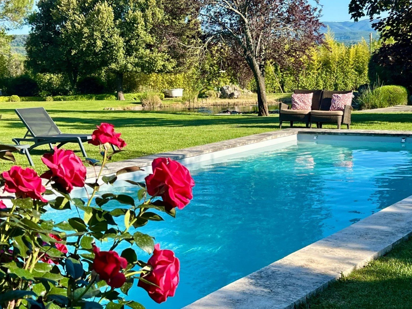 piscine et jardin 2.jpg