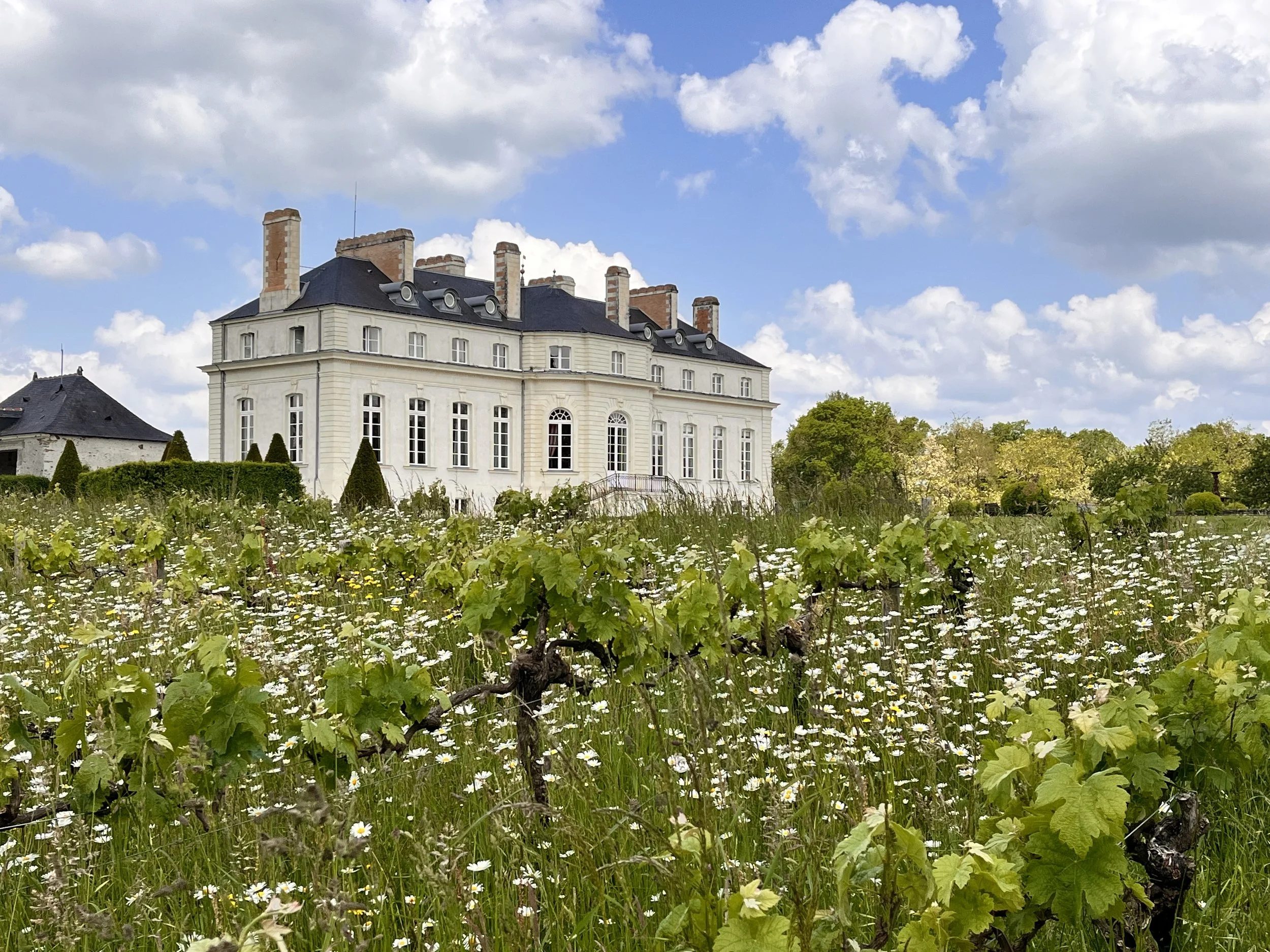 4133 - A chateau en Loire-Atlantique (6).jpeg