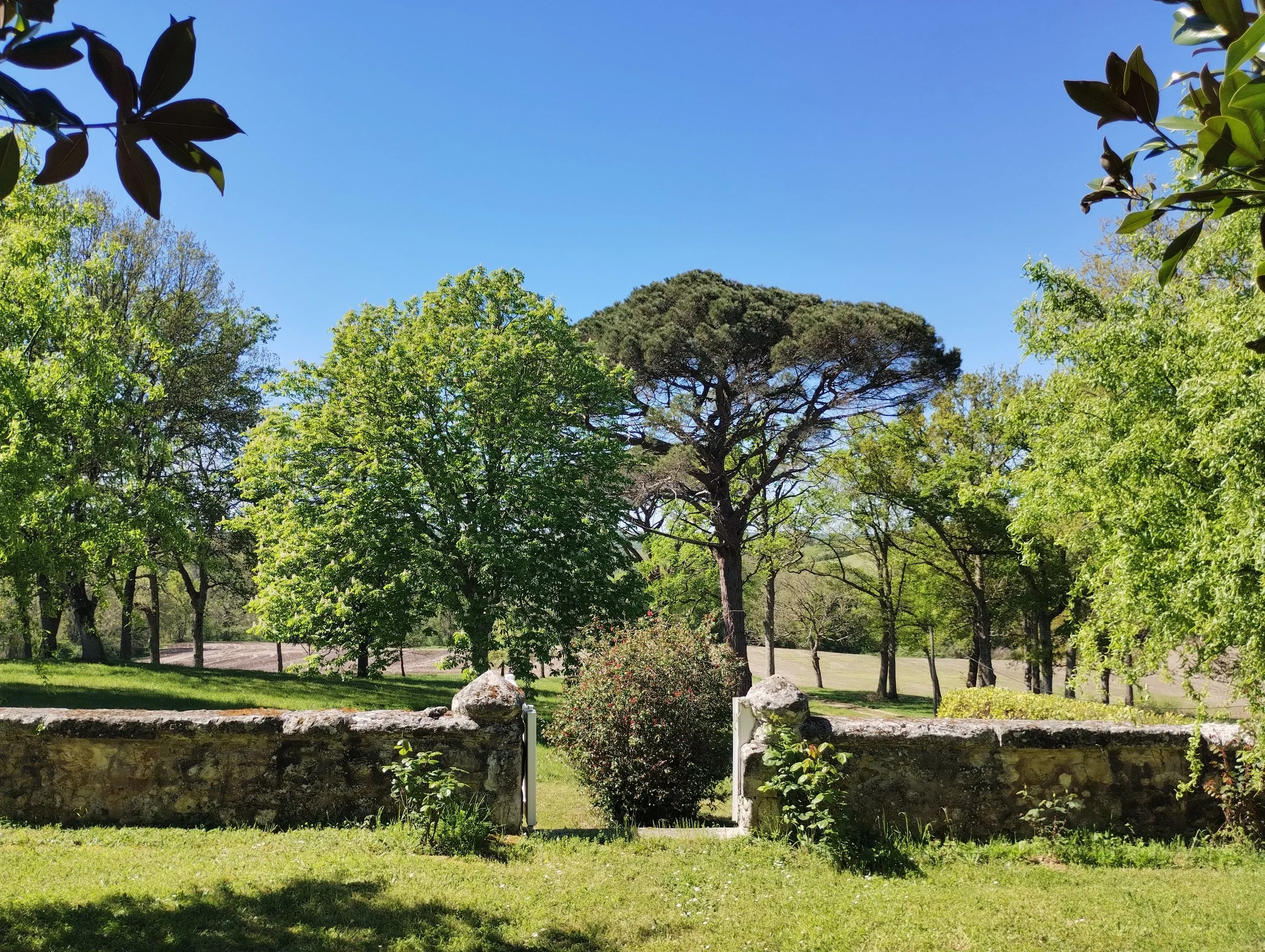 Garden & Landscape
