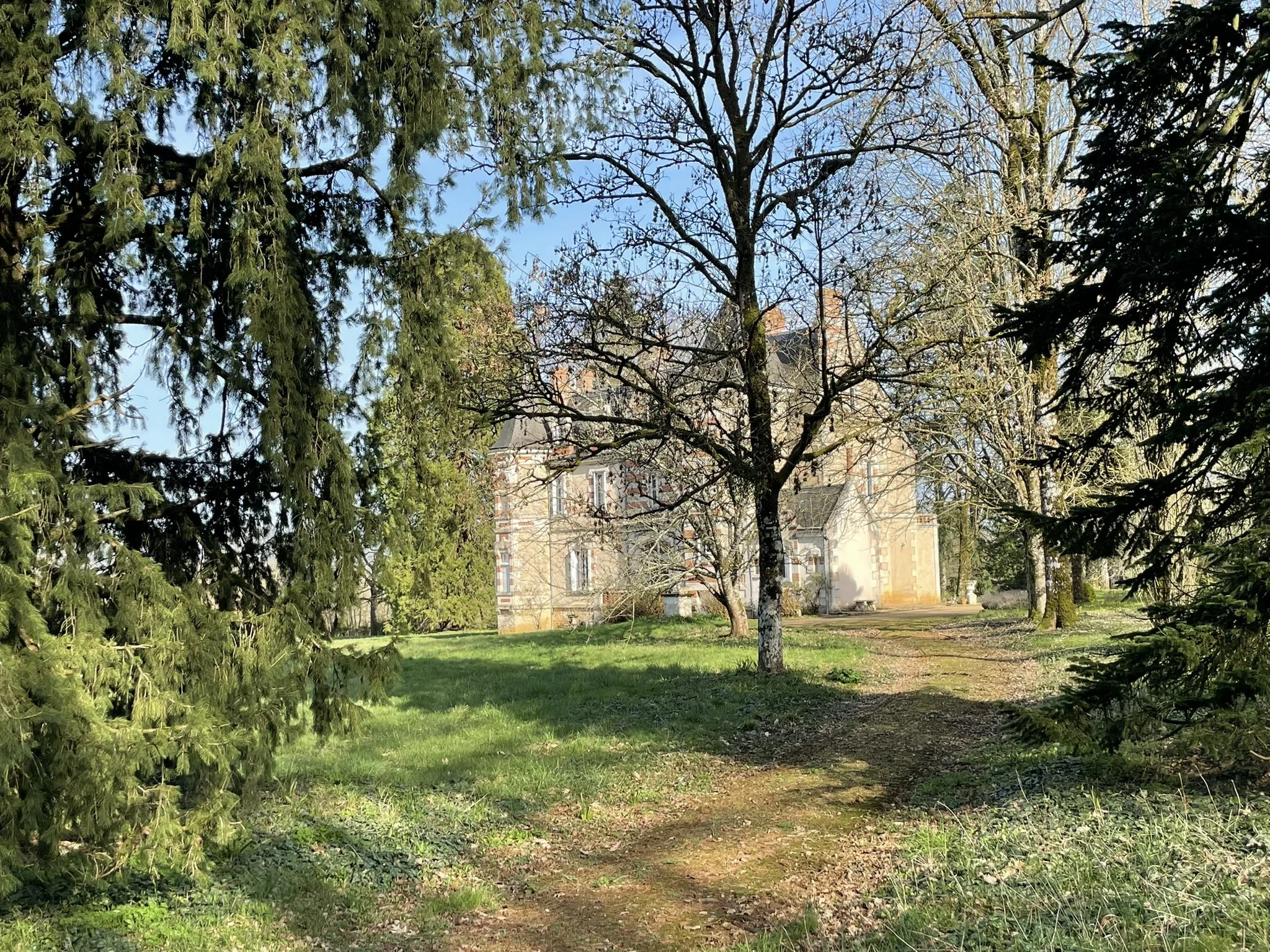 IMG_3028.JPEG