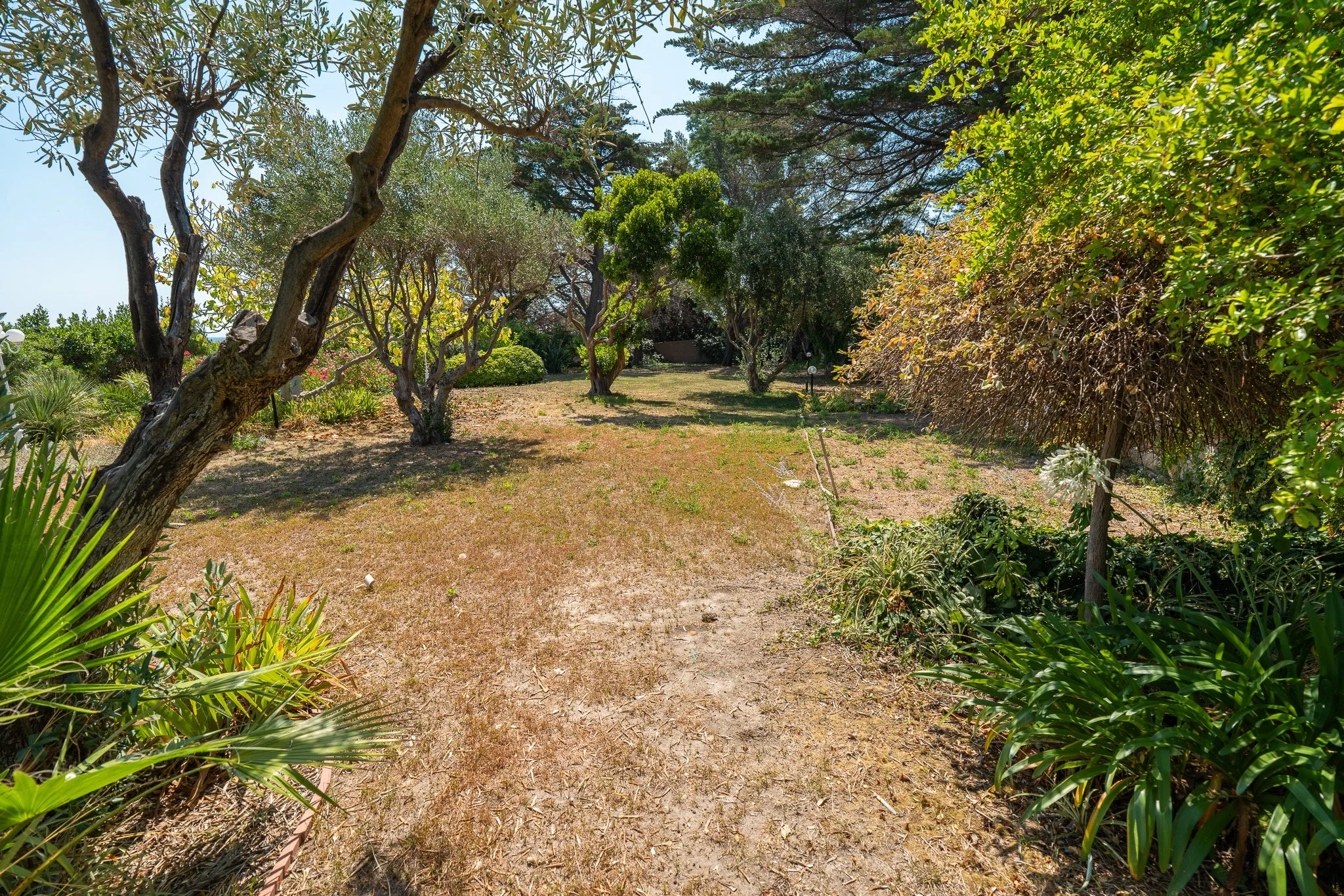 Garden.jpg