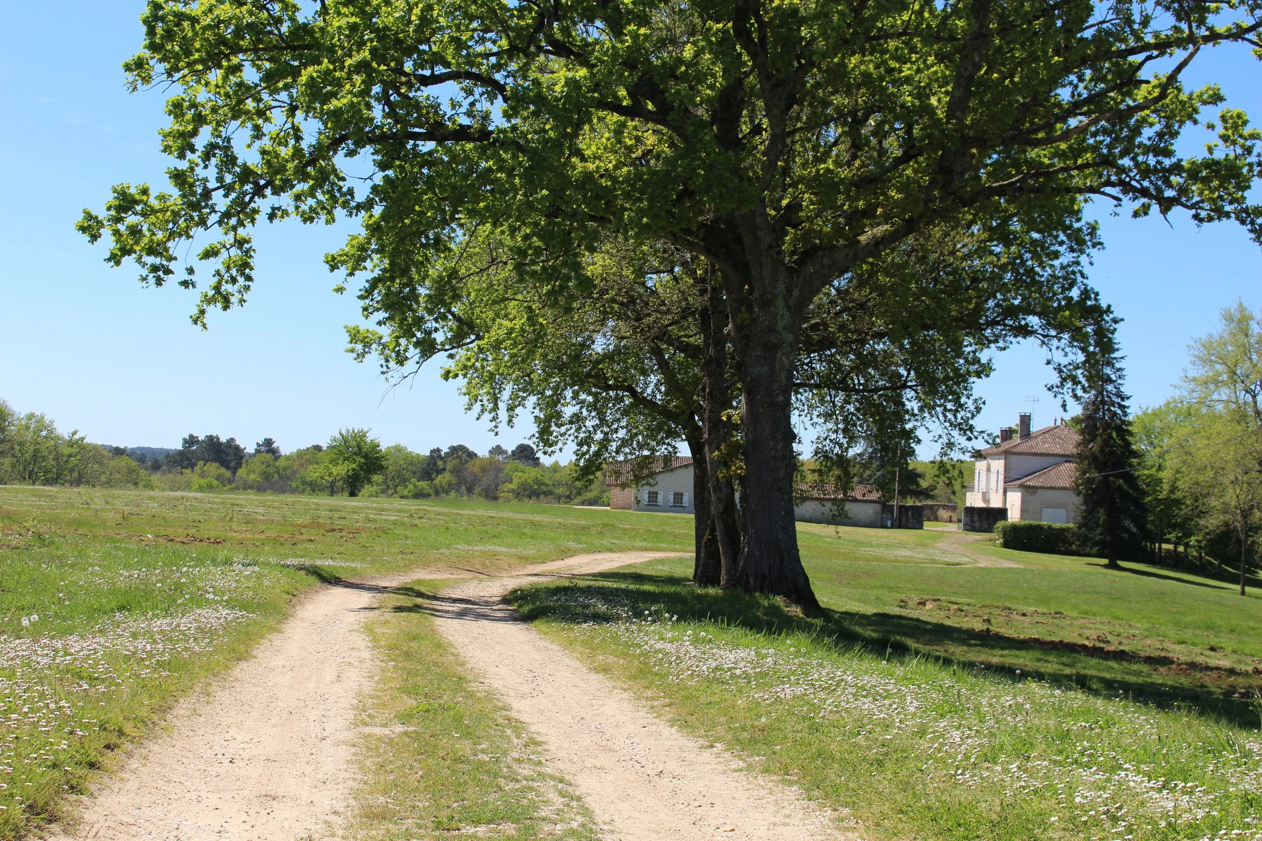 Garden & Landscape