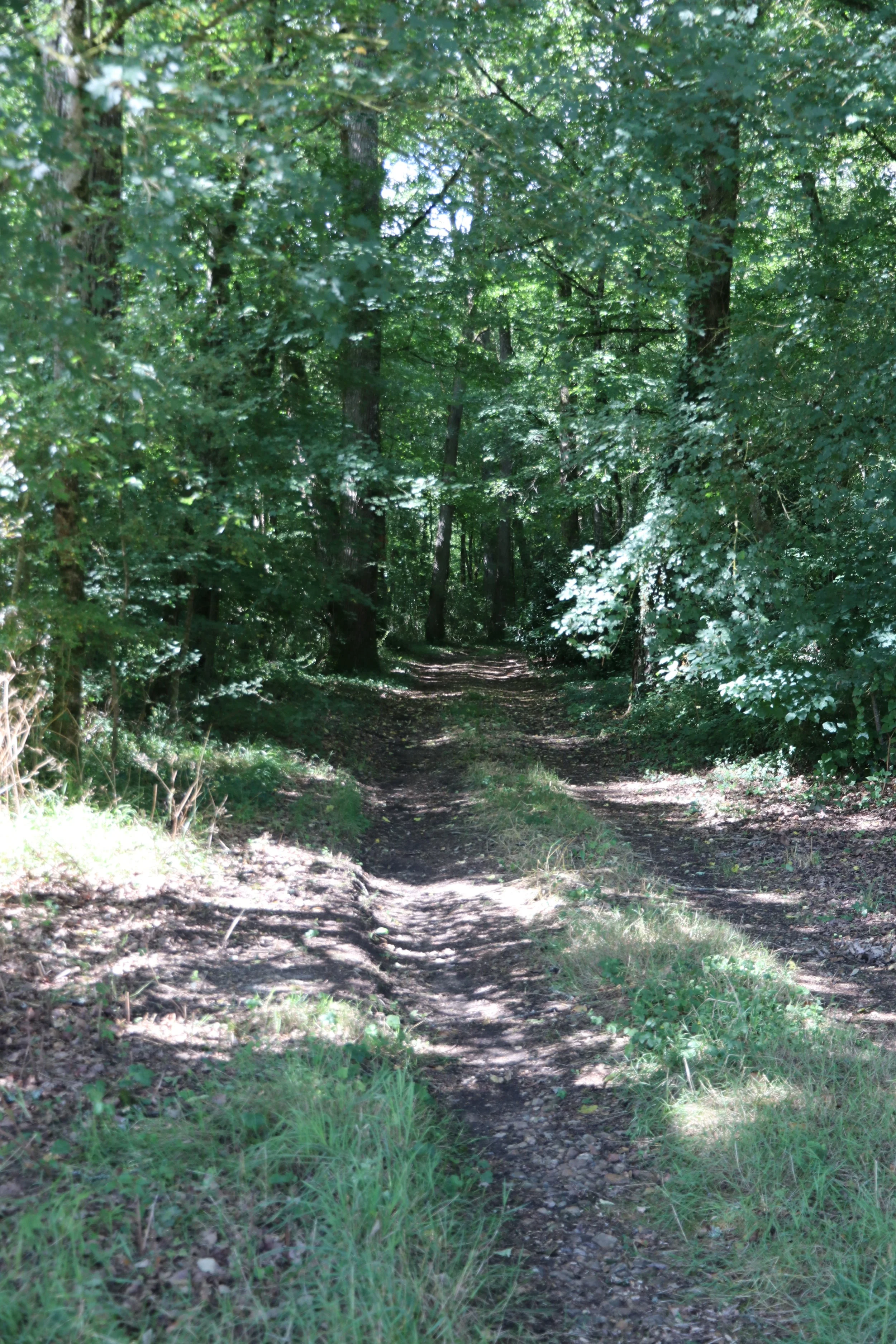 IMG_4987.JPG