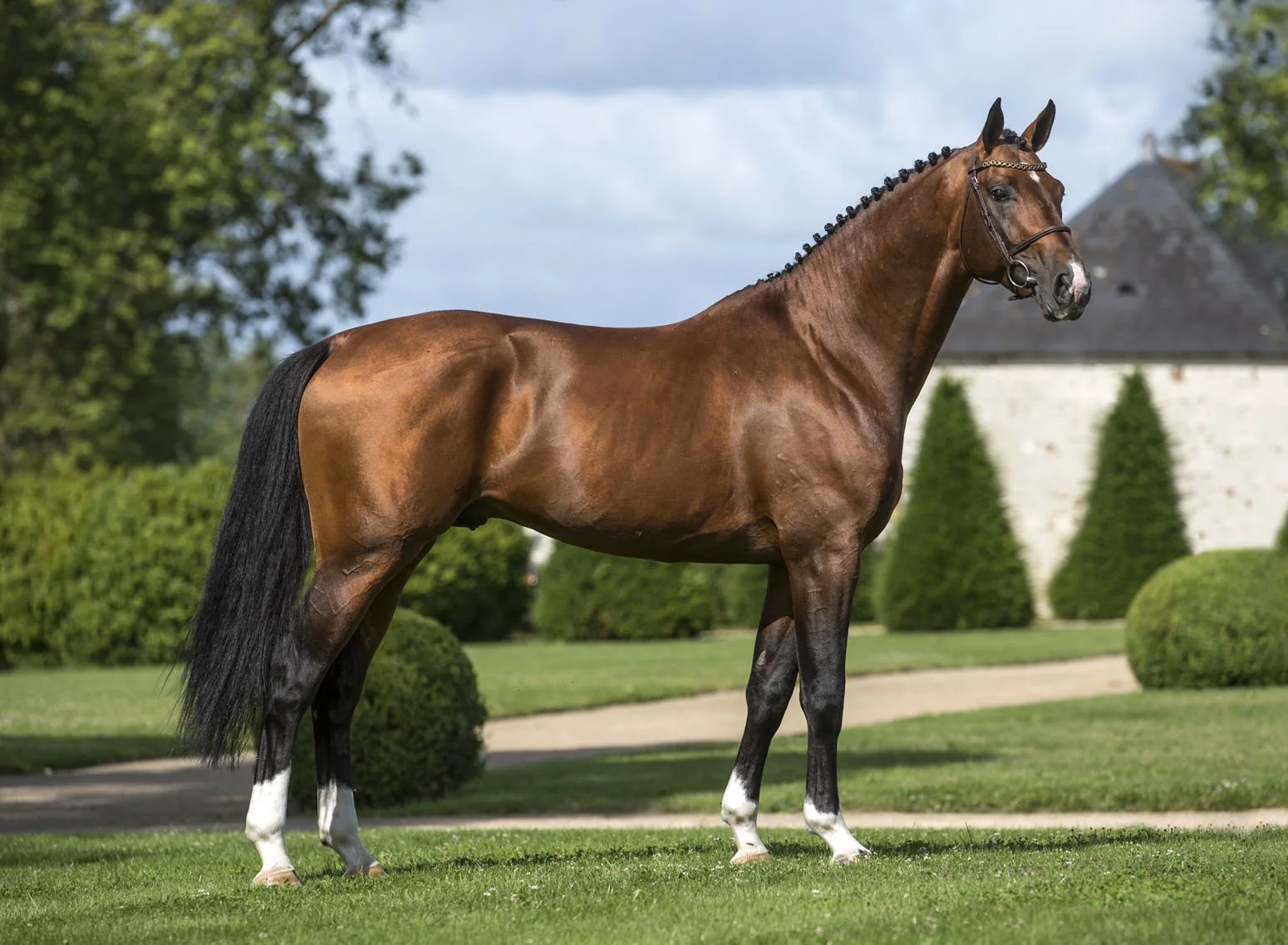 4133-B haras en Loire Atlantique (1).jpg