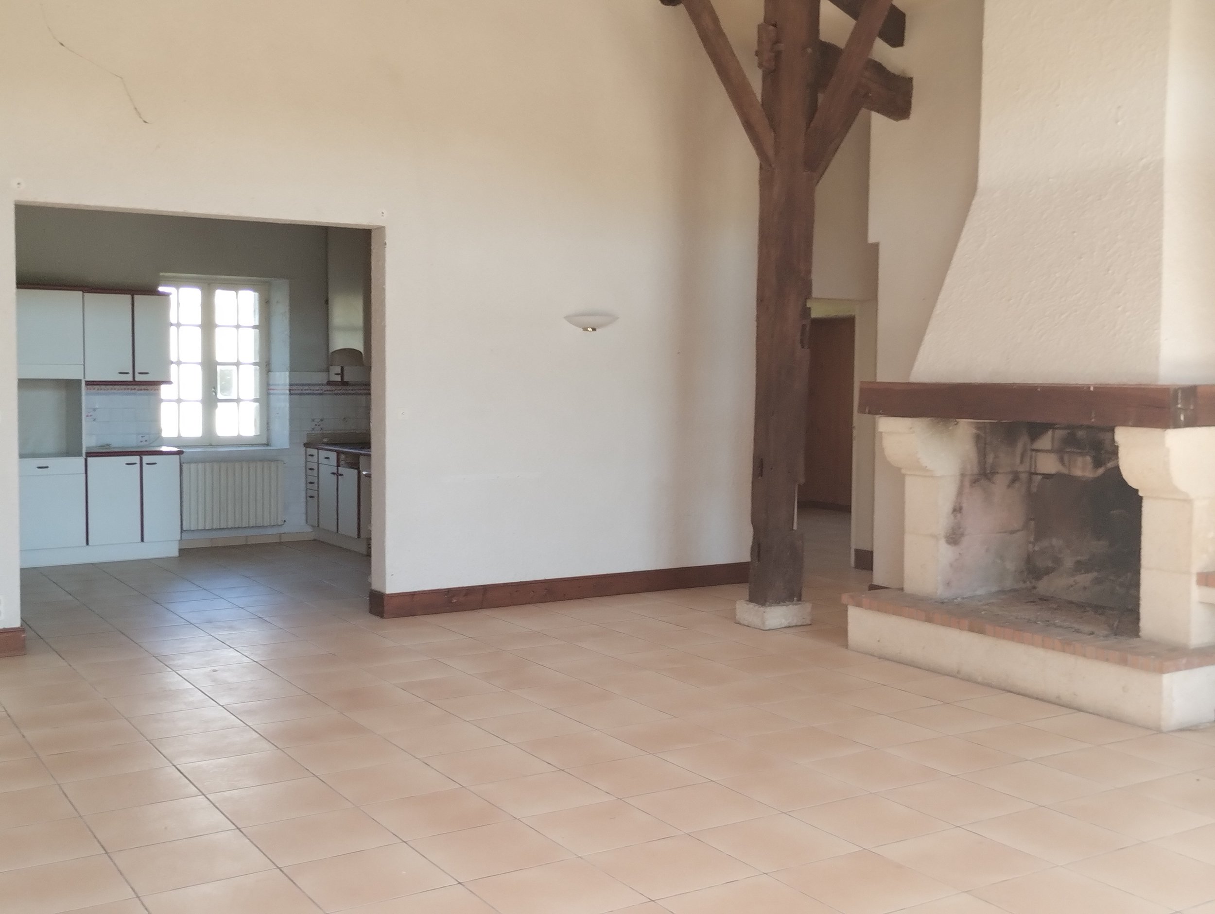 Living Room with Chimney