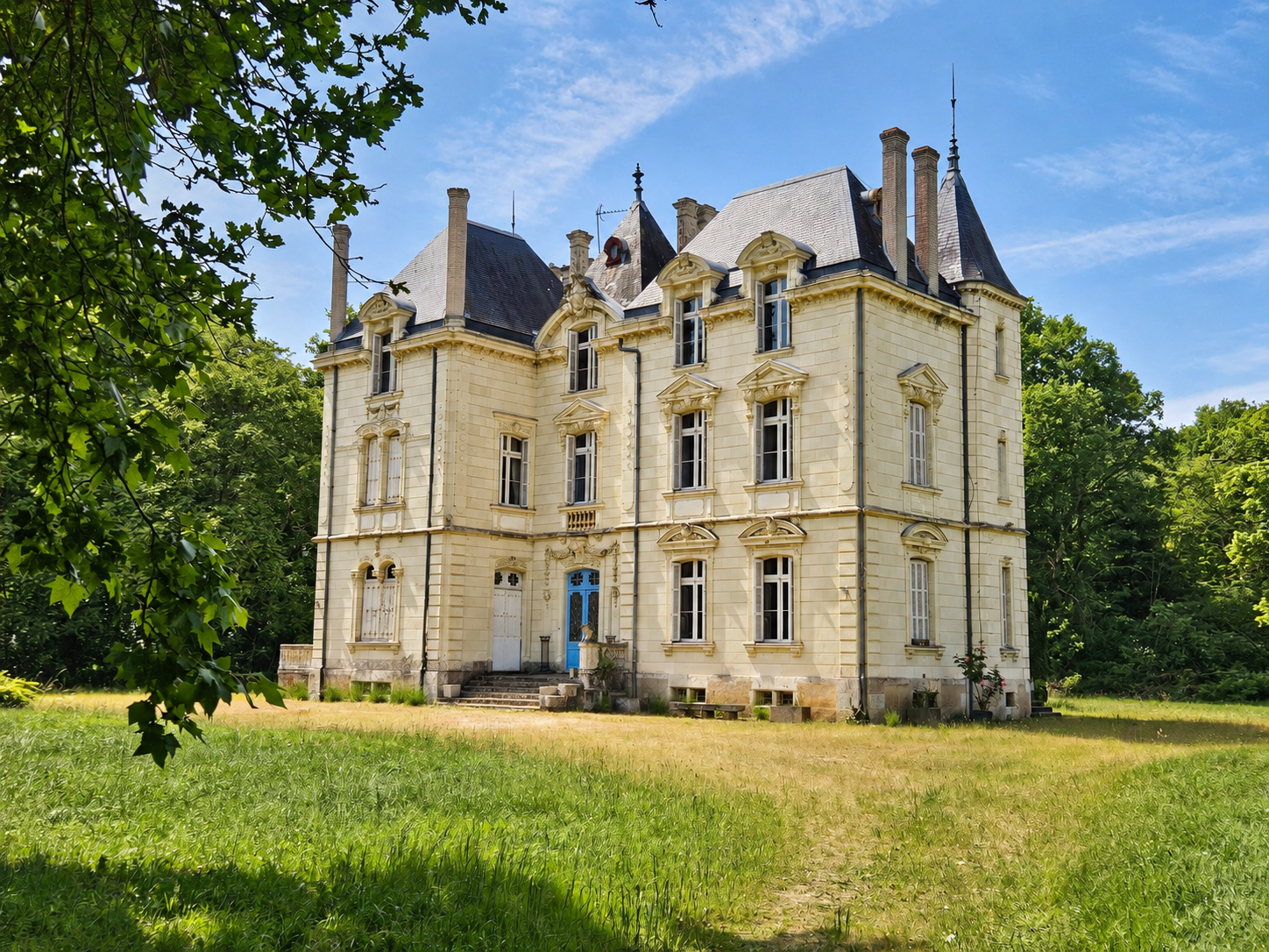 chateau-a-vendre-pres-angers-vue-ensemble-parc.png