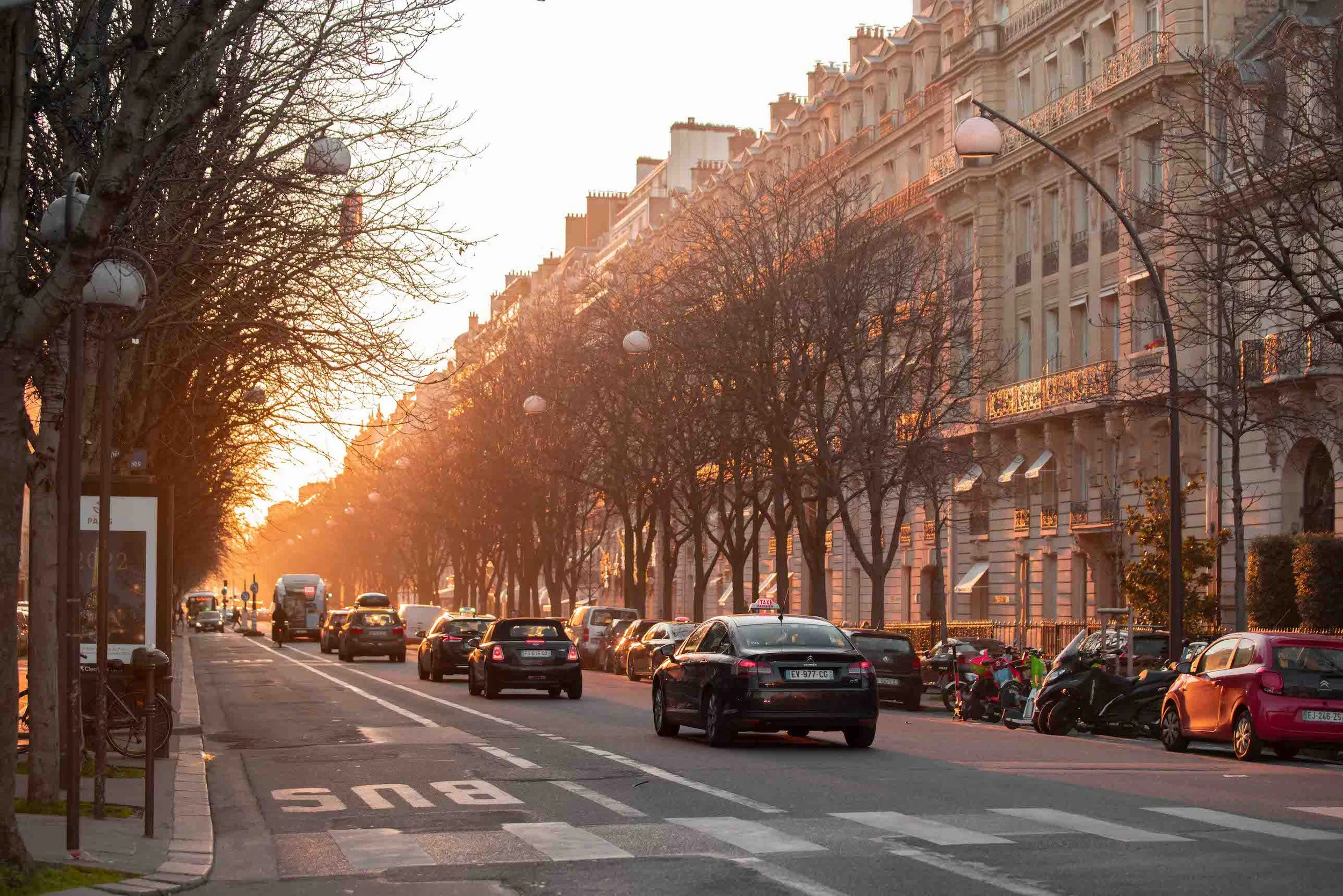 Parisian boulevard at dusk