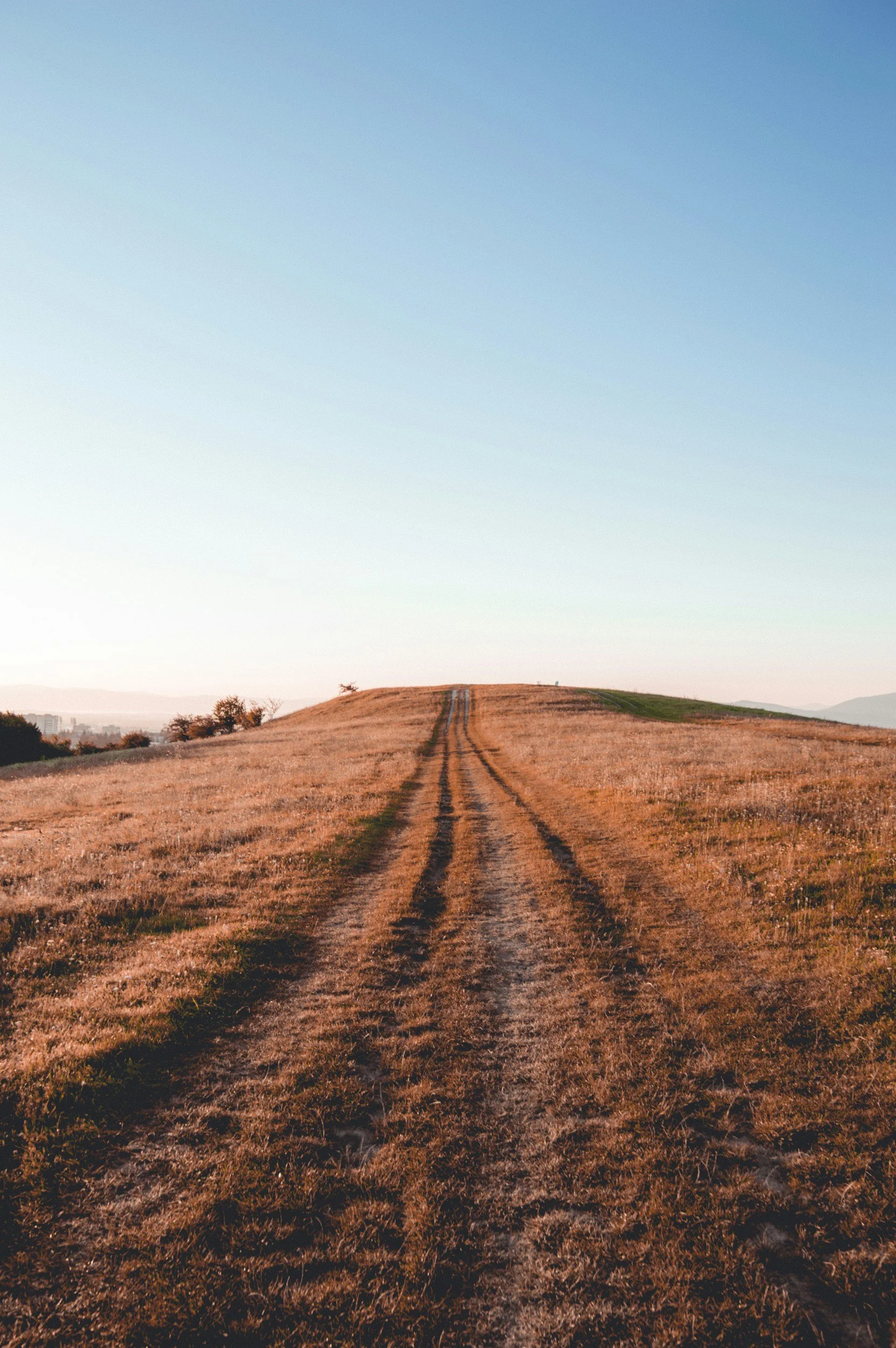 A dirt road stretching across a field during sunset with clear blue sky.