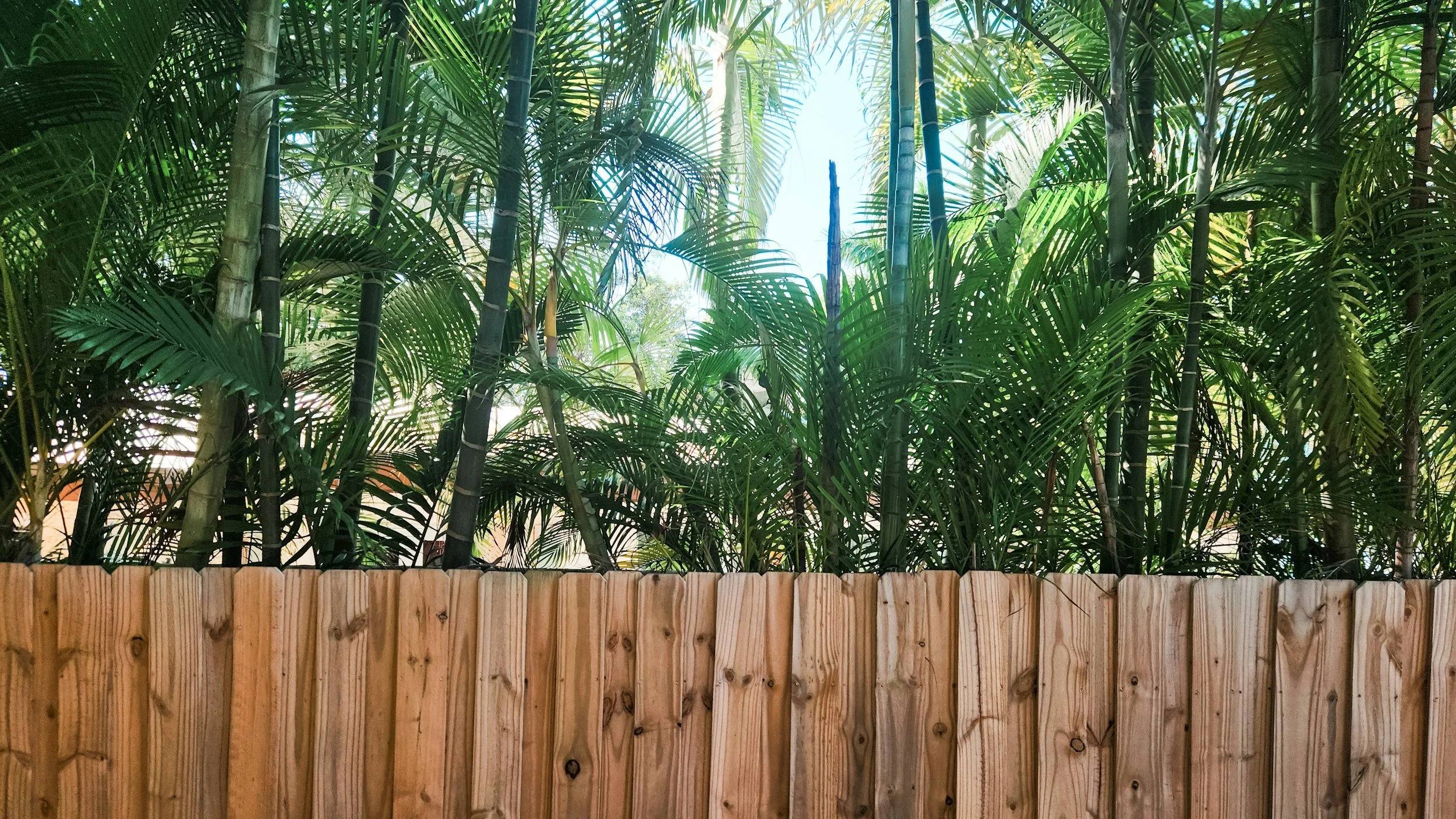 timber-fence-northshore-sydney
