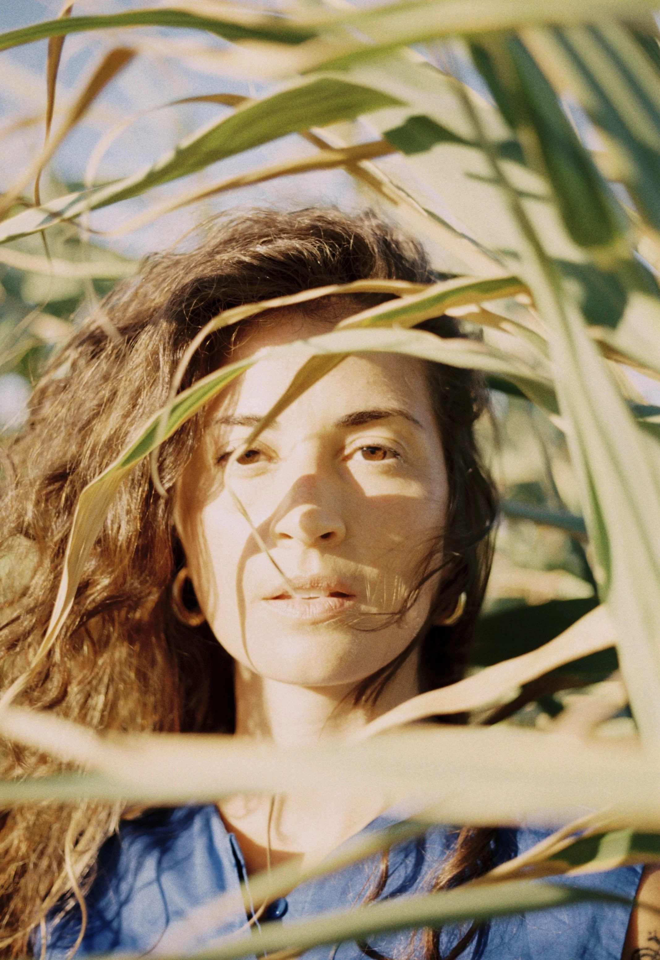 A woman with curly hair and hoop earrings is partially obscured by tall green leaves, with sunlight illuminating her face.