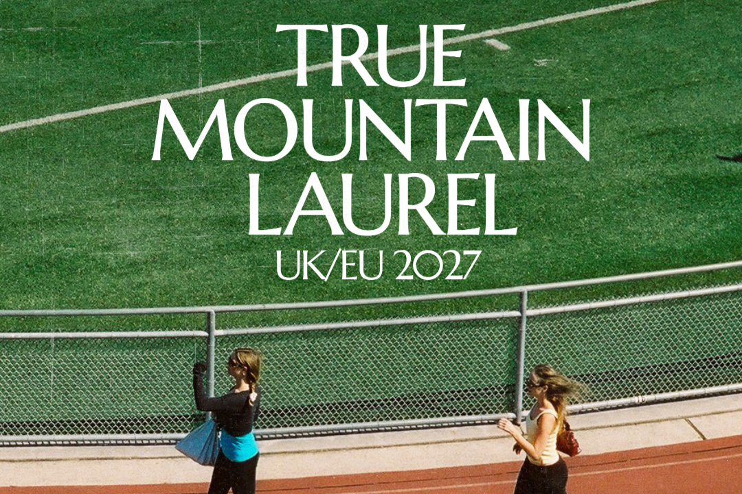 True Mountain Laurel