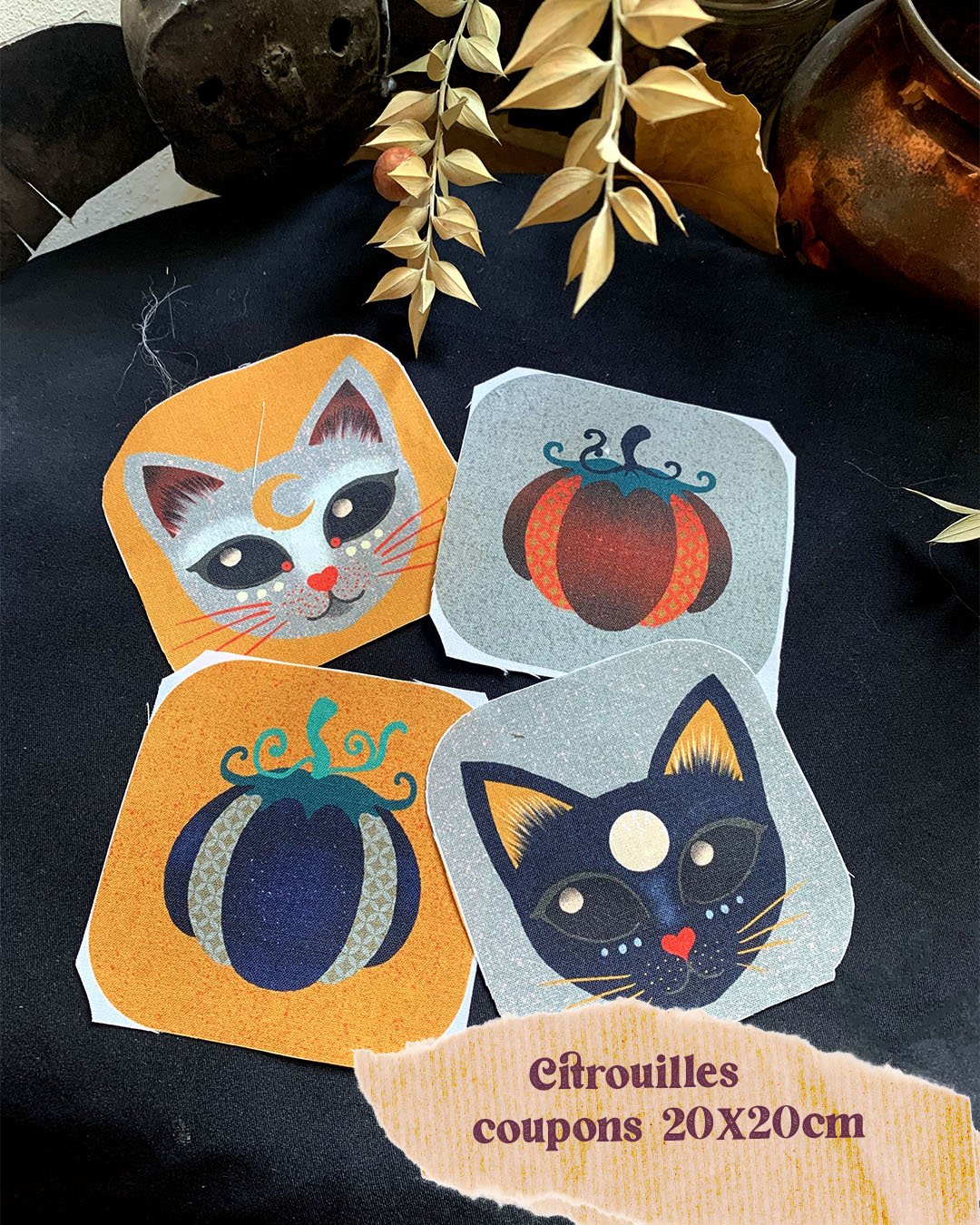 Coupon chats citrouilles.jpg