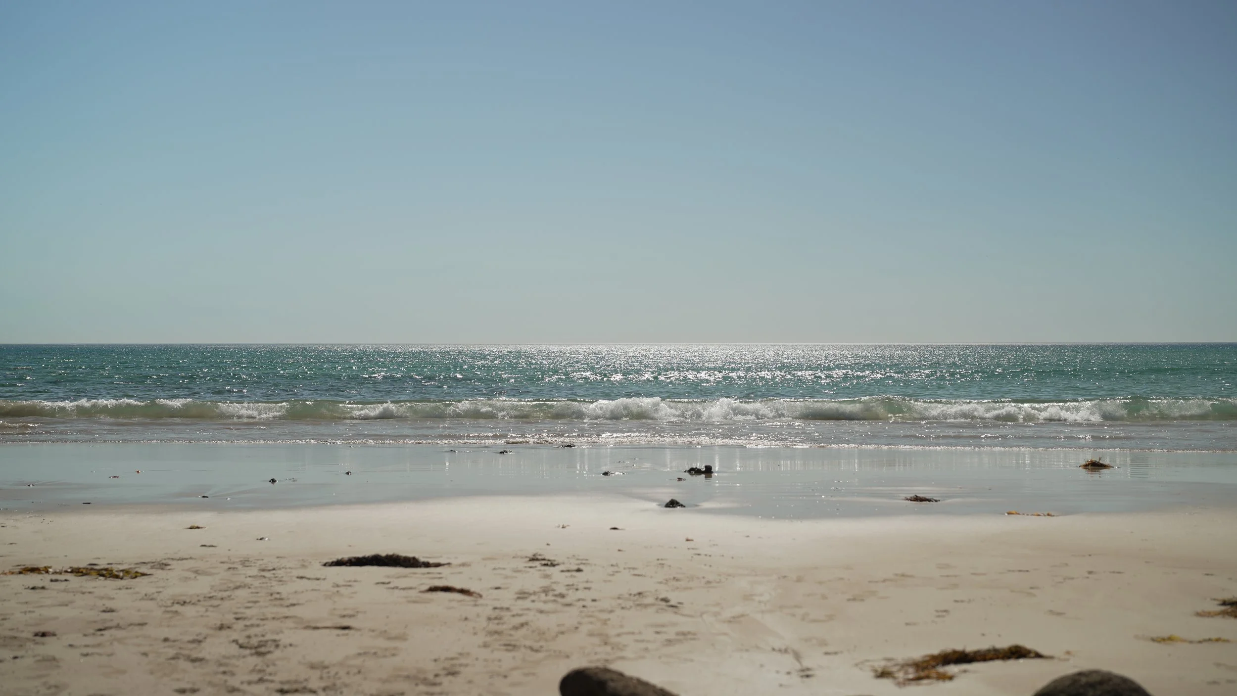 DSC00589.JPG