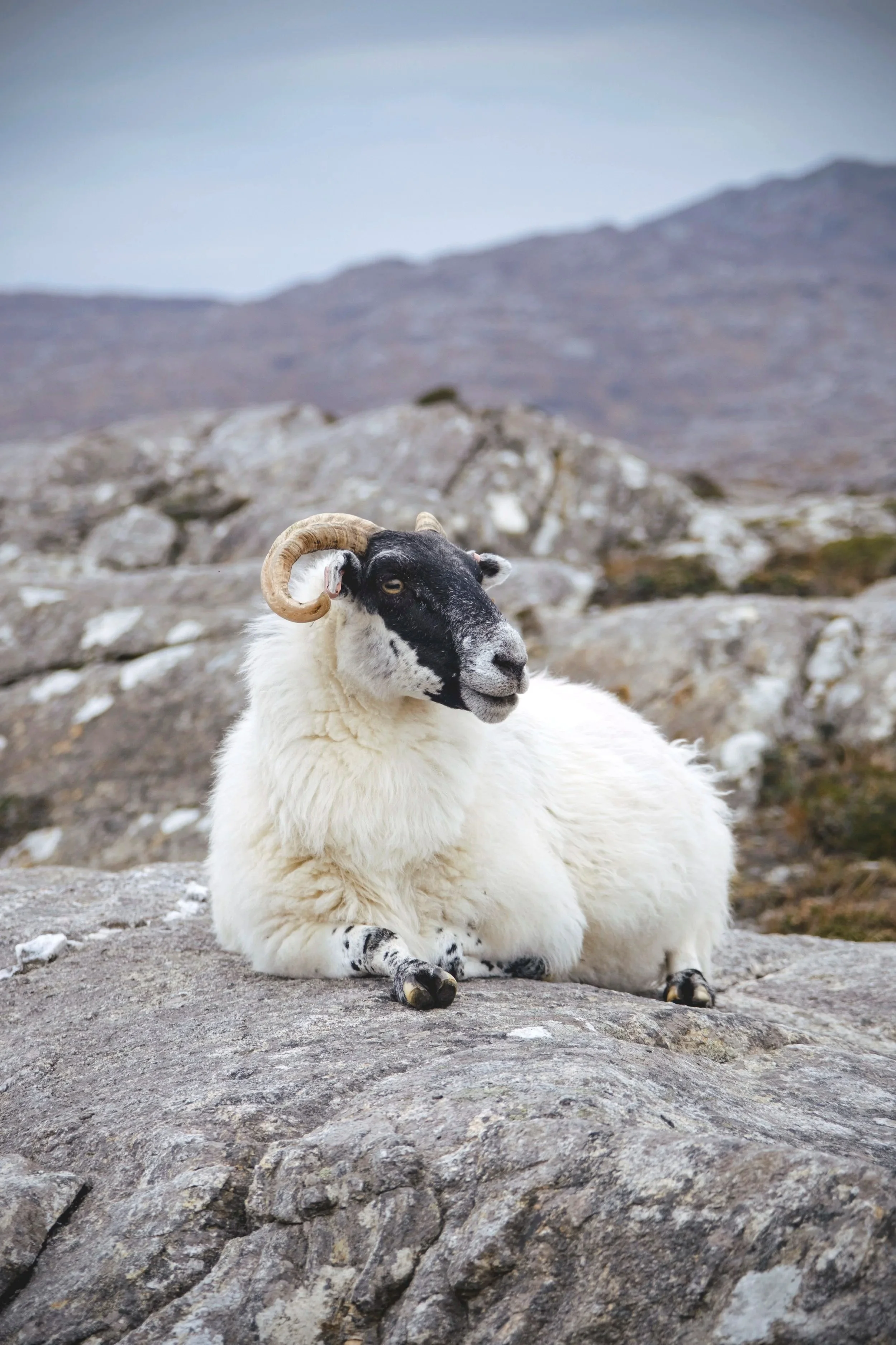 Isle of Harris, Outer Hebrides, Scotland.