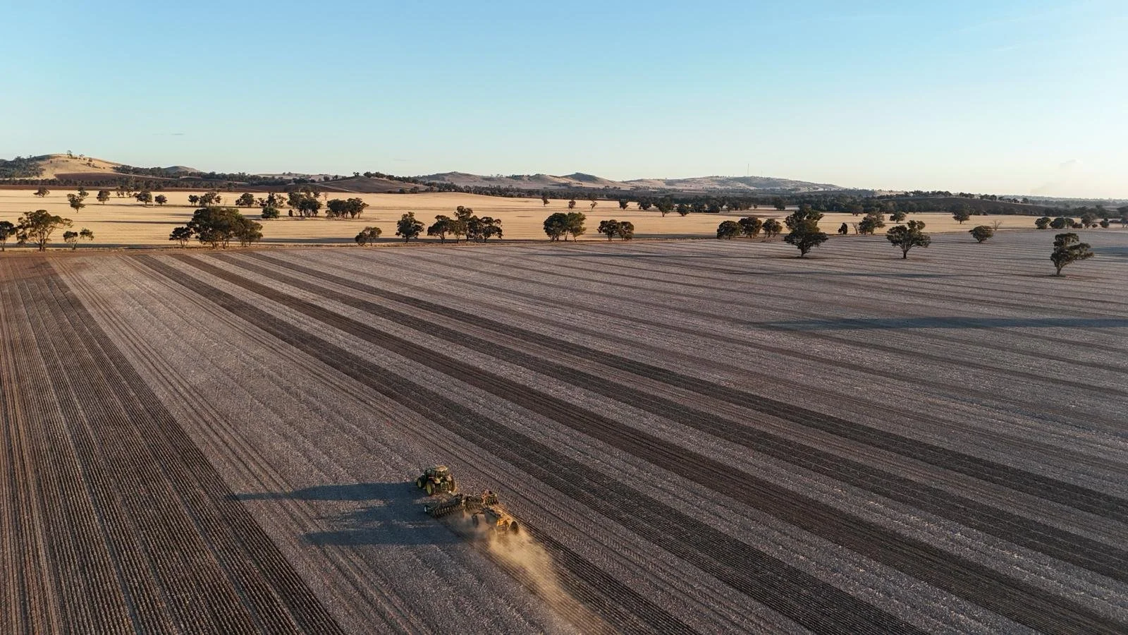 PHOTO-2026-03-03-08-43-36 2.jpg