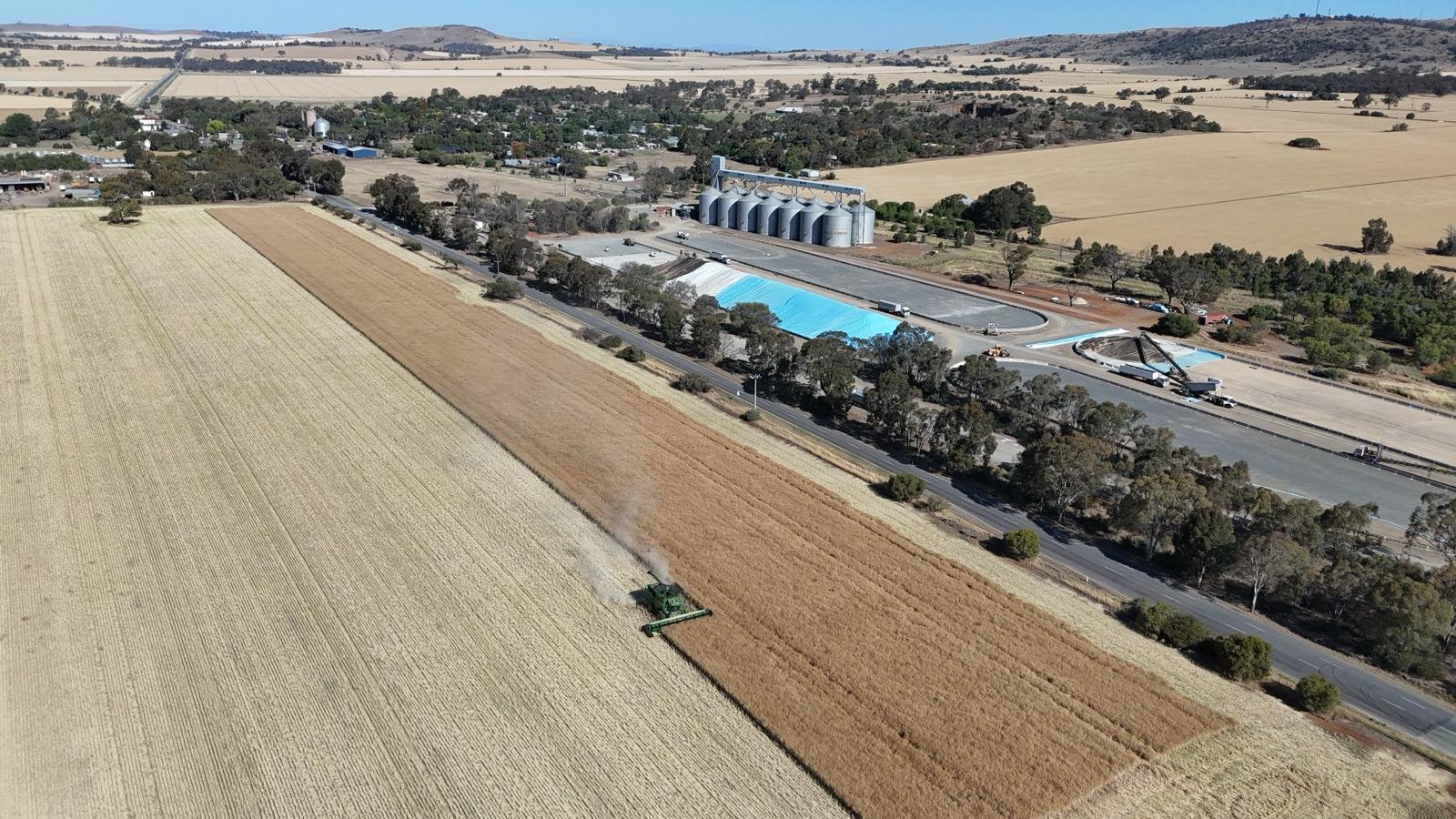 PHOTO-2026-03-03-08-43-44 2.jpg