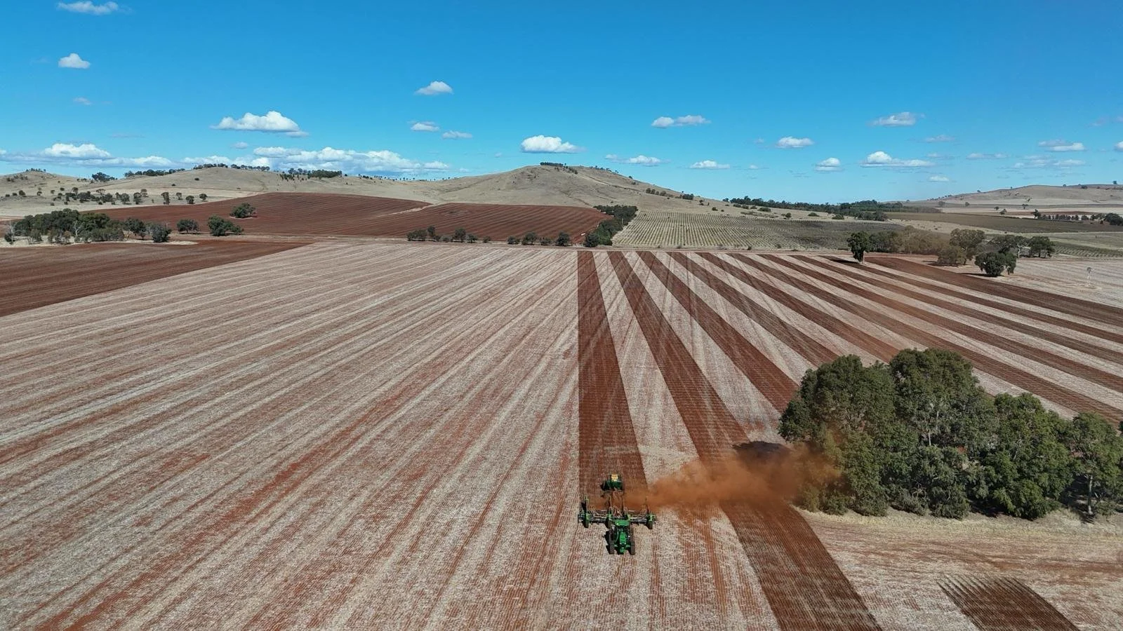 PHOTO-2026-03-03-08-43-41 2.jpg