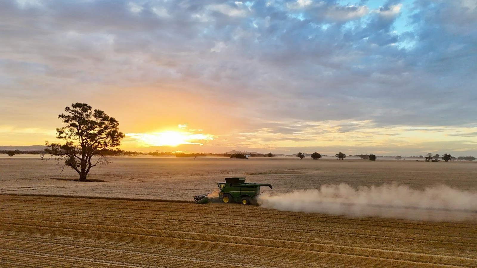 PHOTO-2026-03-03-08-43-37 2.jpg