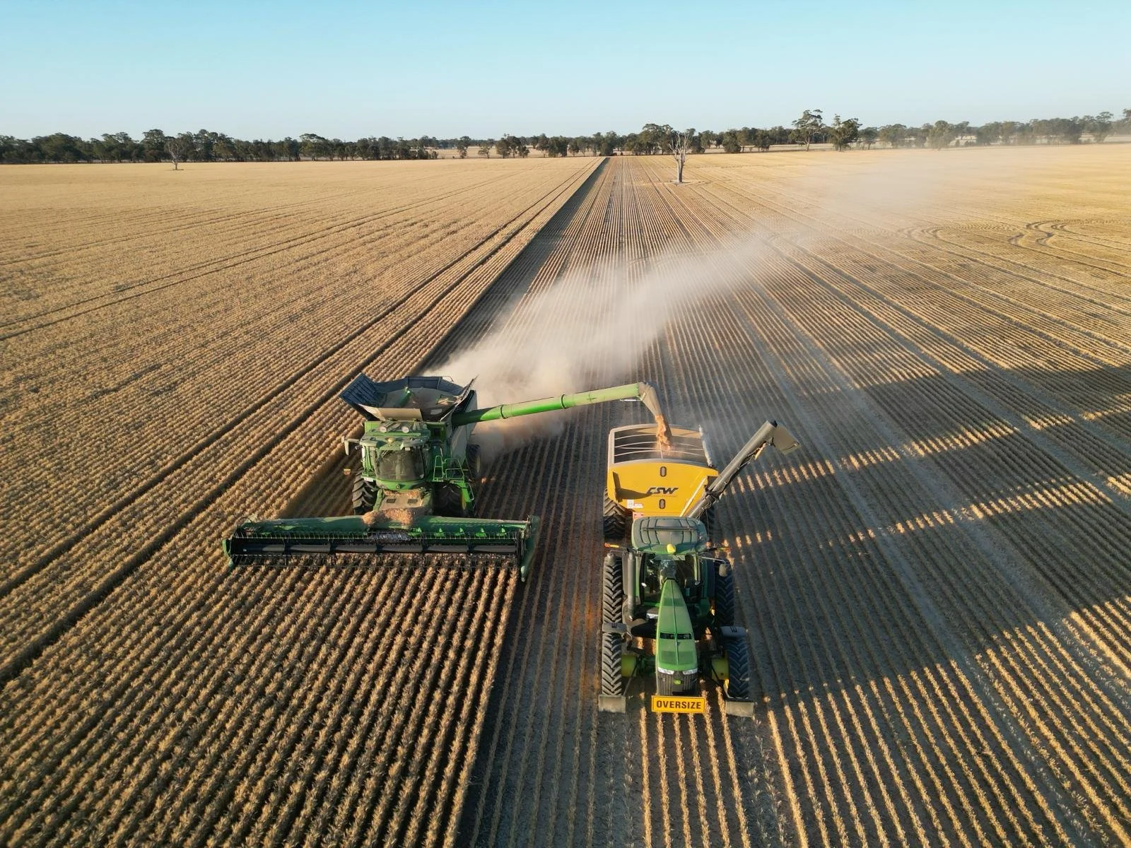 PHOTO-2026-03-03-08-43-47 2.jpg