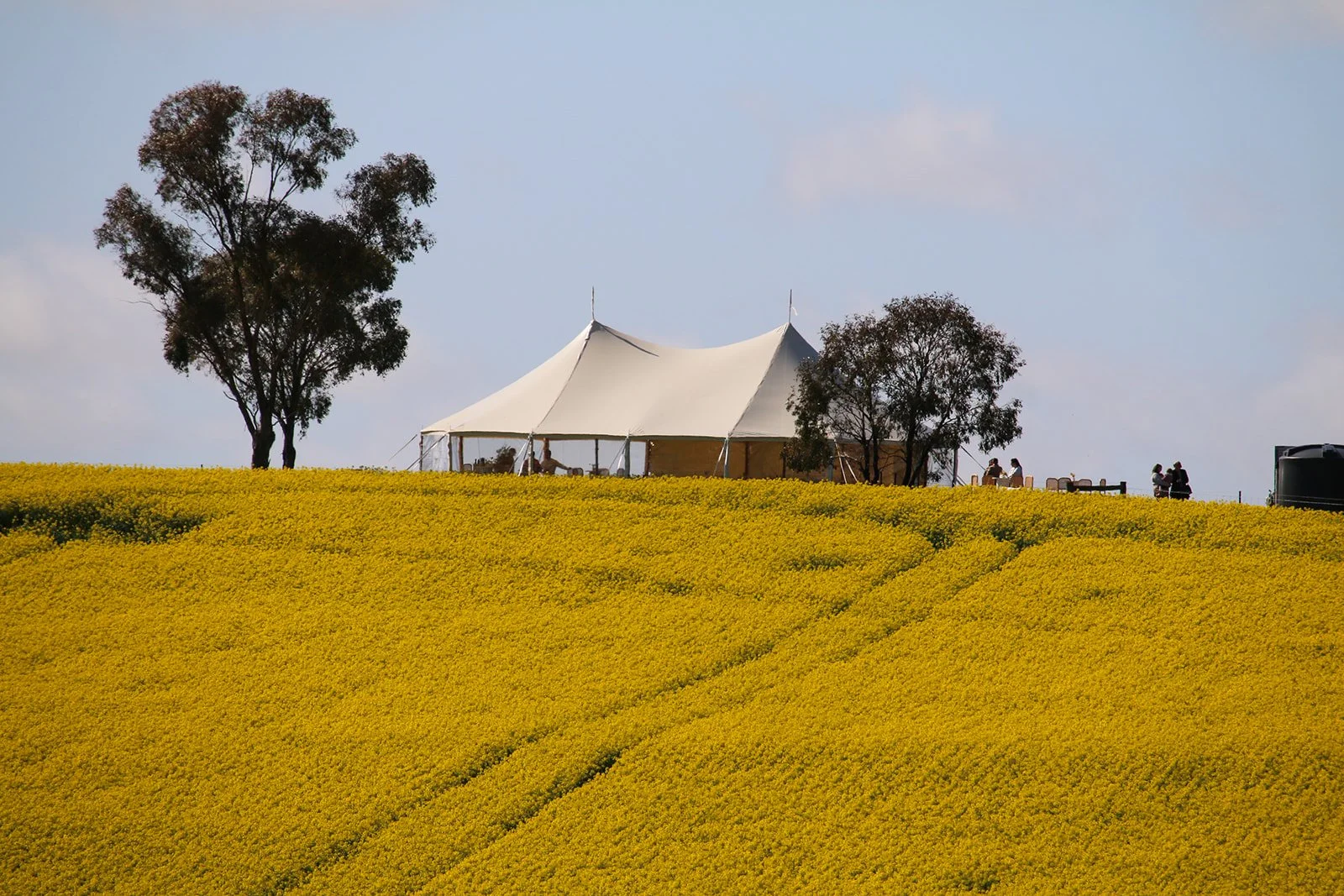 Alex Pics-124_websize (1).jpg