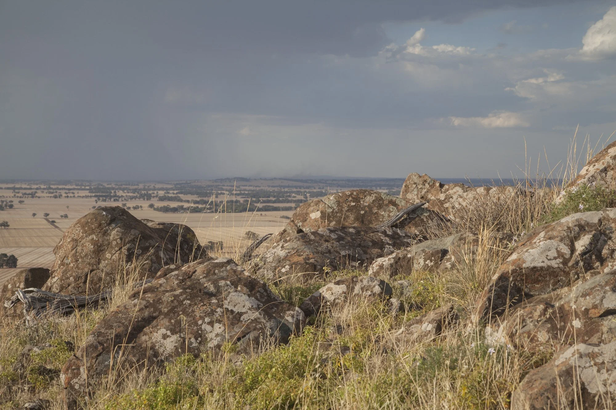 Rock Correa 0037.jpg