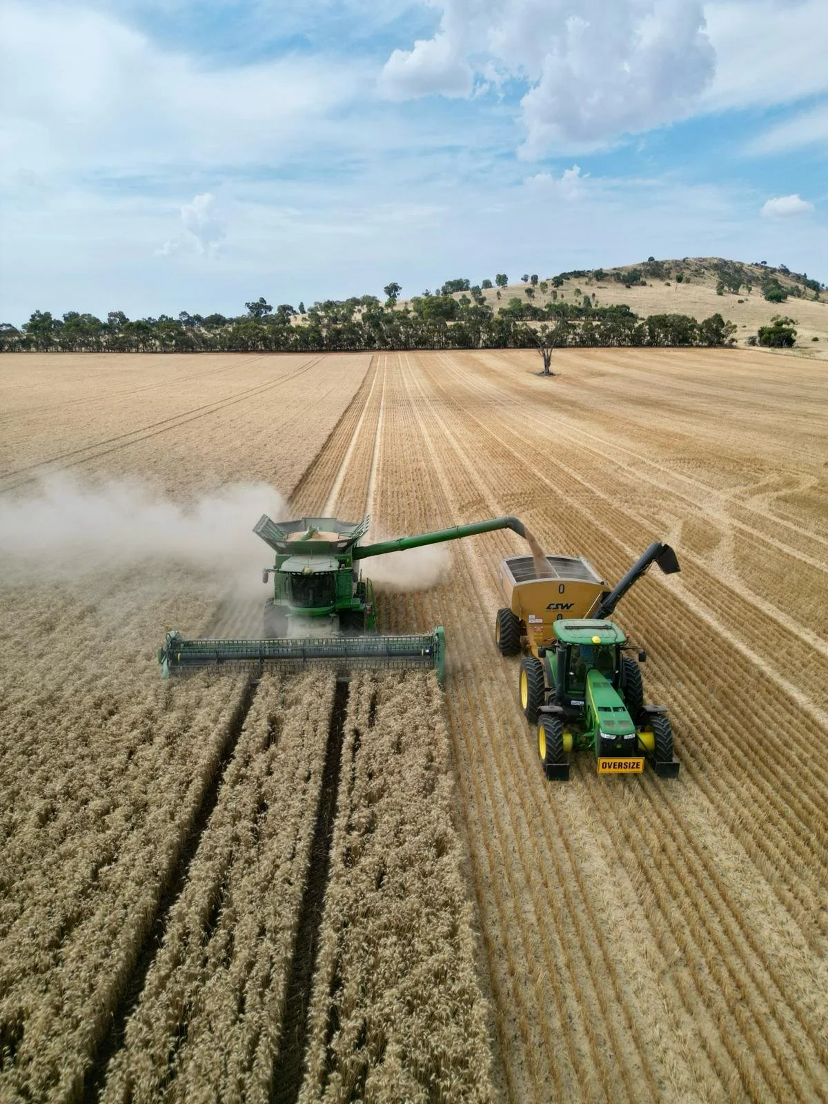 PHOTO-2026-03-03-08-43-35 2.jpg