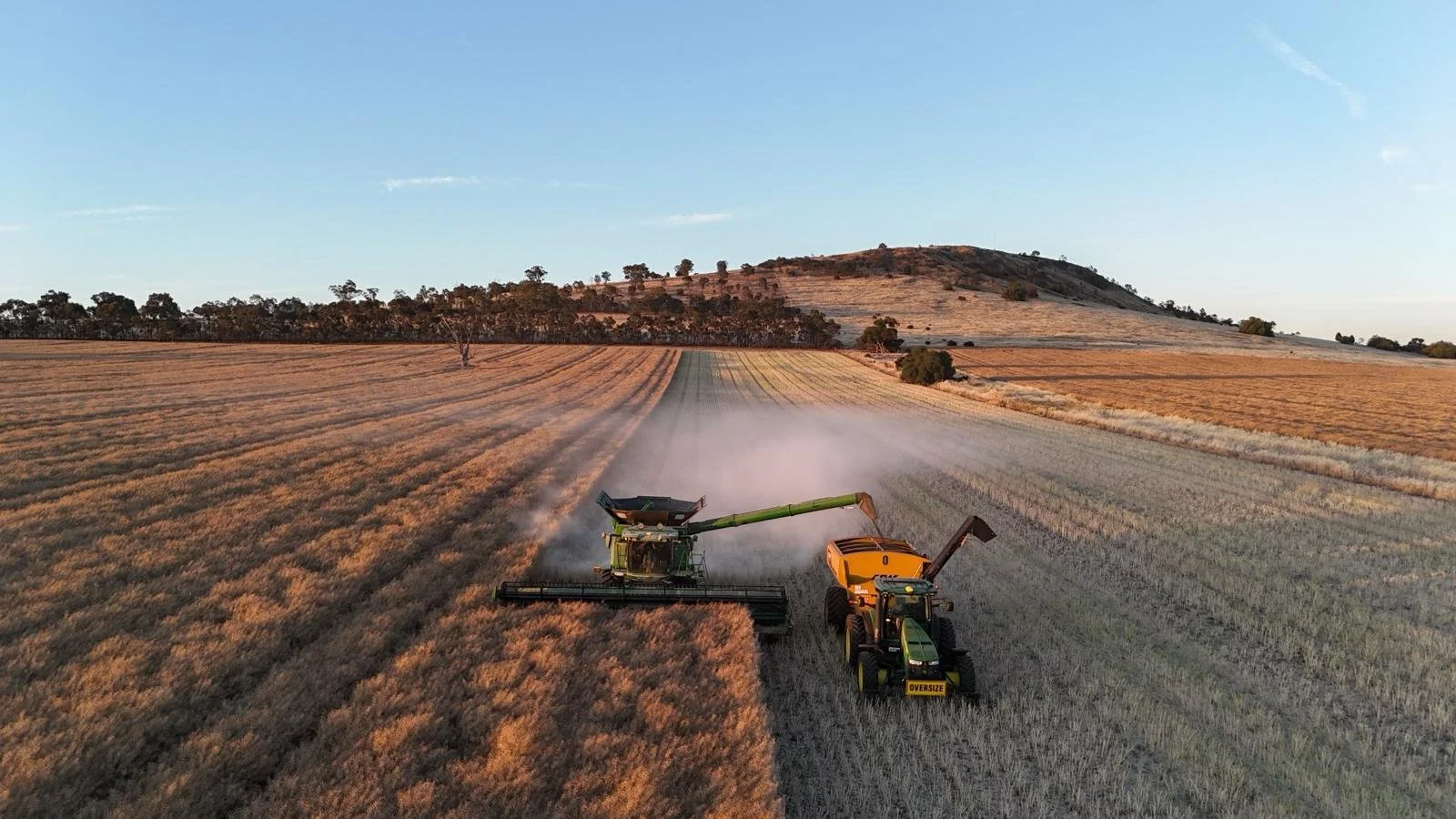 PHOTO-2026-03-03-08-43-46 2.jpg