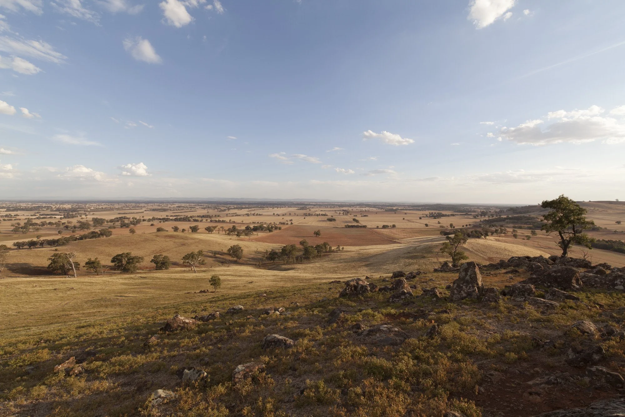 Rock Correa 0045.jpg